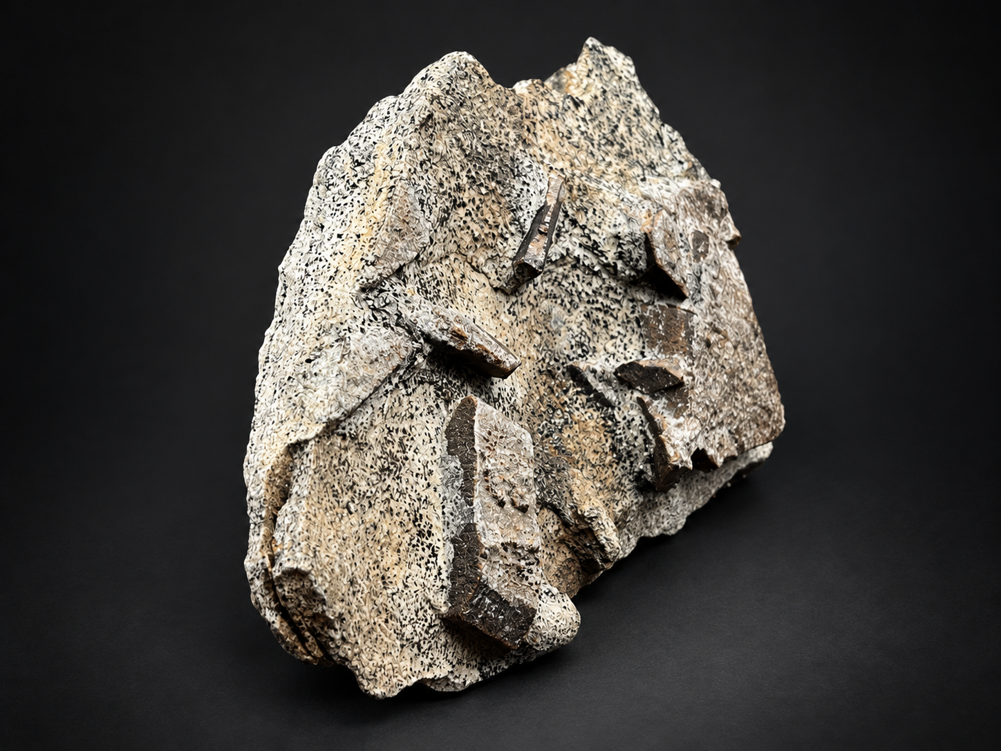 Natural staurolite crystals on schist from Russia, showing a prominent cluster of blocky brown crystals surrounded by cream and gray metamorphic rock.