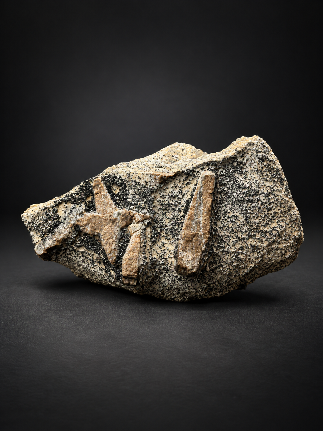 Angled view of 300g Russian staurolite specimen highlighting the three-dimensional cross-shaped crystal intergrowth and elongated brown crystal on schist.