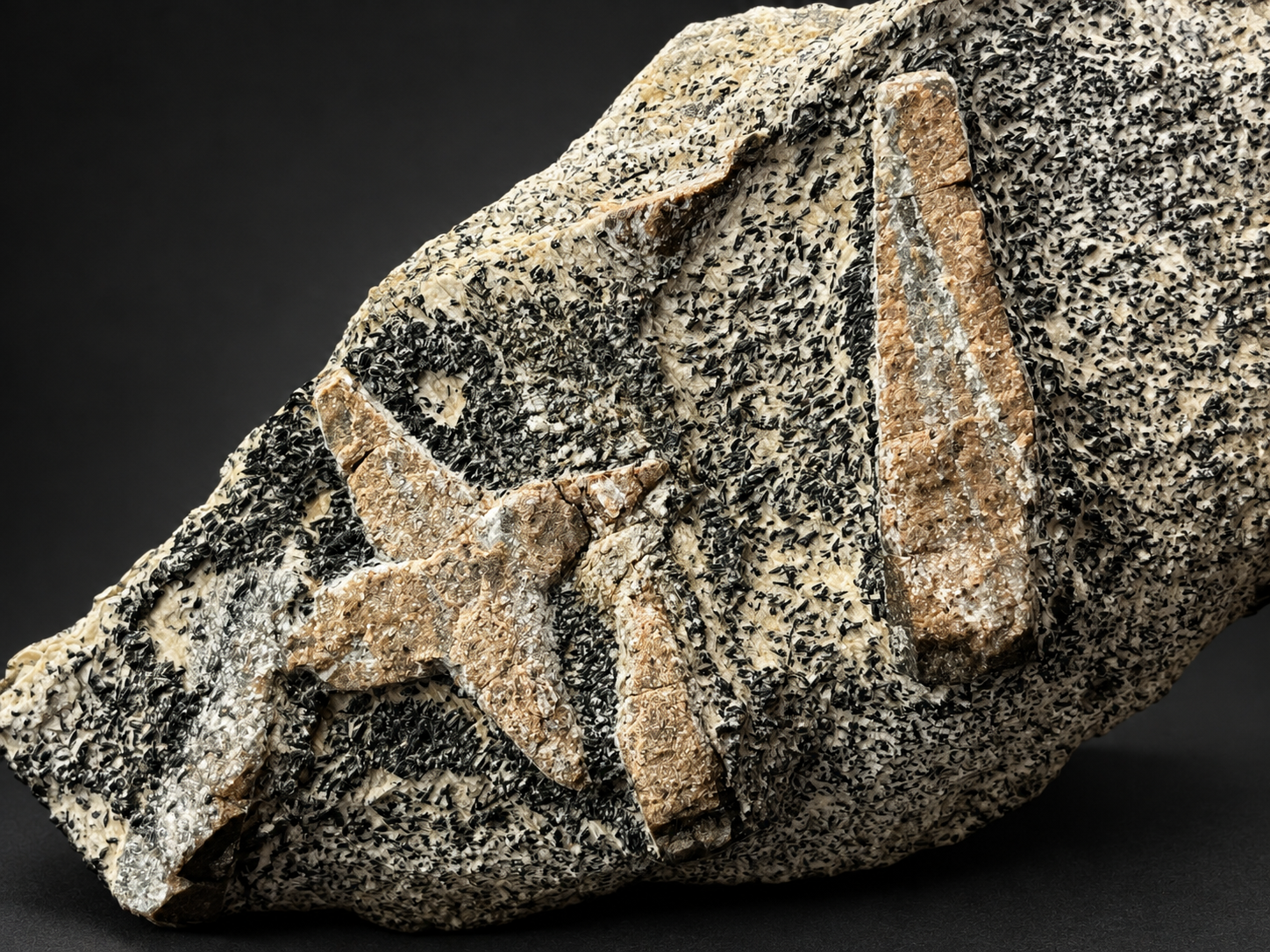 Russian staurolite on schist showing a prominent brown cross-like crystal and tall prismatic crystal against textured cream-colored rock.