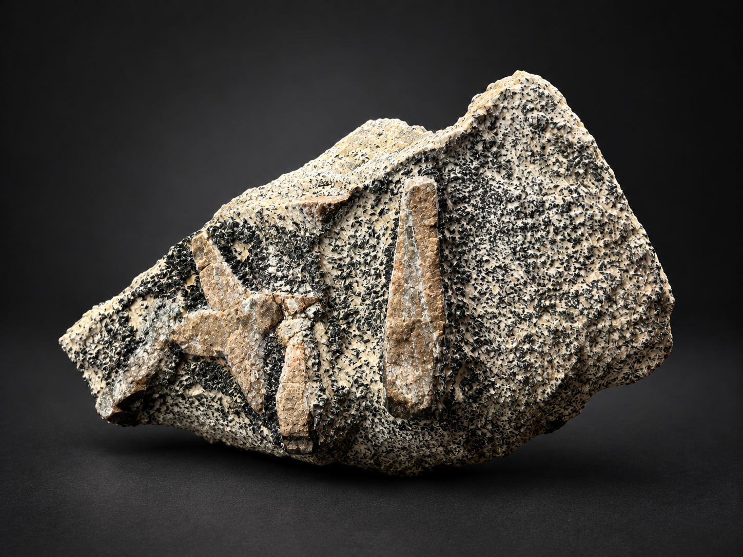 Natural Russian staurolite crystals embedded in pale schist, featuring warm brown prismatic formations and contrasting fine black mineral grains.