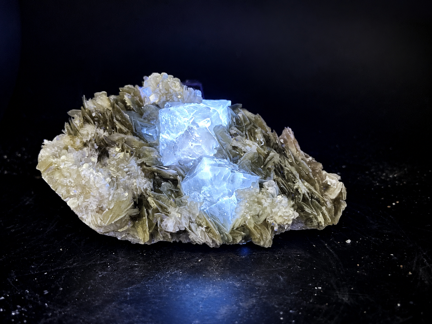 scheelite crystals glowing brilliant icy blue-white under ultraviolet light, surrounded by layered muscovite on a natural mineral specimen from Xuebaoding, China.