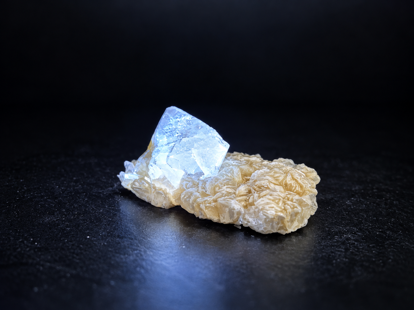 Orange scheelite crystal glowing intense icy blue-white under ultraviolet light, resting on pale golden muscovite from Mt. Xuebaoding, Pingwu, China.
