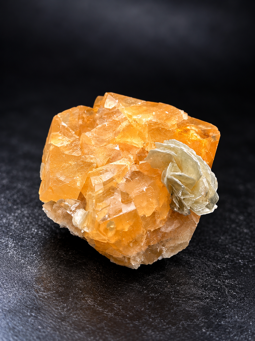 translucent orange scheelite with overlapping geometric crystal faces and a delicate pale muscovite rosette from Mt. Xuebaoding, China.