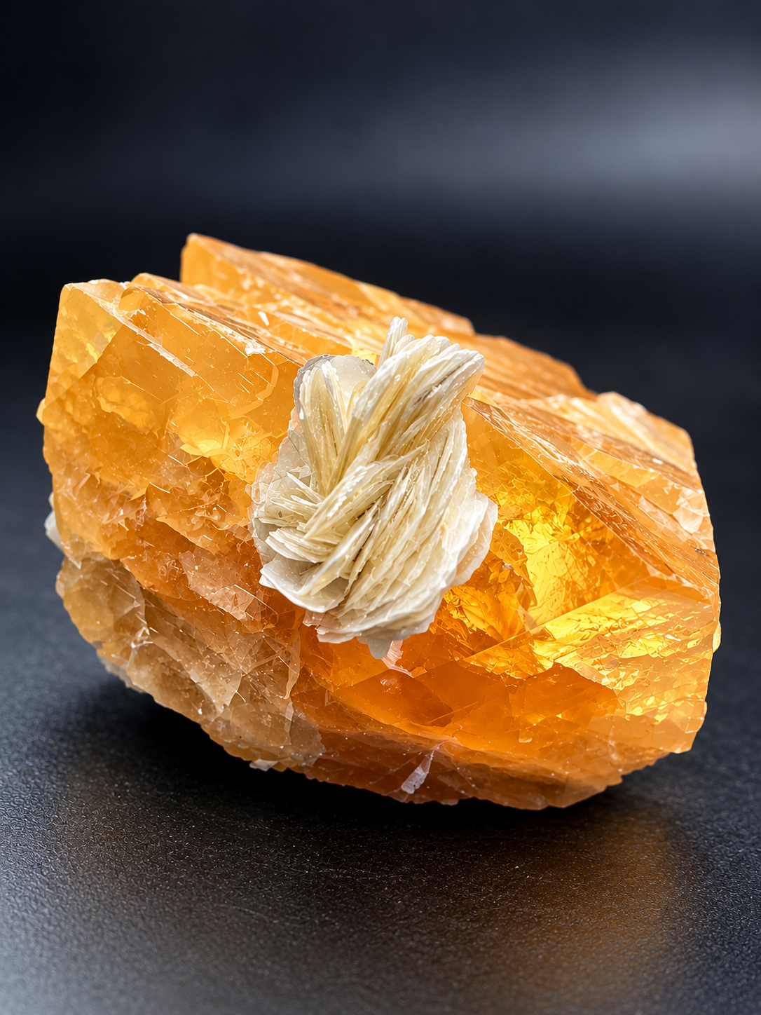 cream-colored muscovite rosette with layered, flower-like blades attached to translucent golden scheelite crystals from Sichuan Province, China.