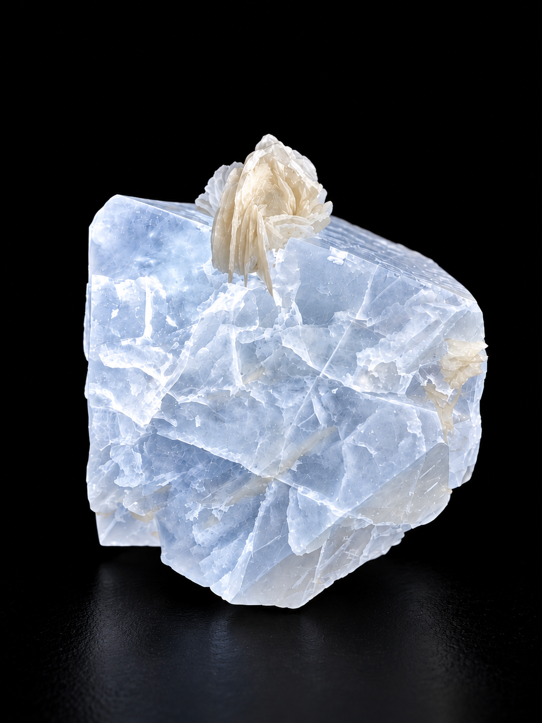 Golden-orange scheelite glowing icy blue-white under ultraviolet light, with a cream muscovite rosette contrasting against the fluorescent crystal from Mt. Xuebaoding, China.