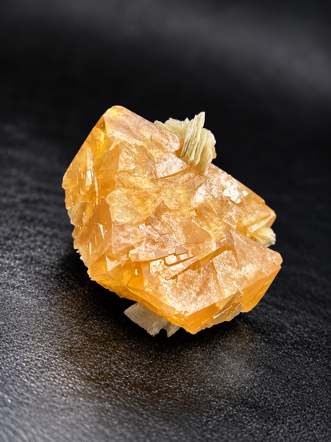 honey-orange scheelite crystals with sharp geometric edges, glassy surfaces, and a prominent white muscovite rosette from Pingwu, China.