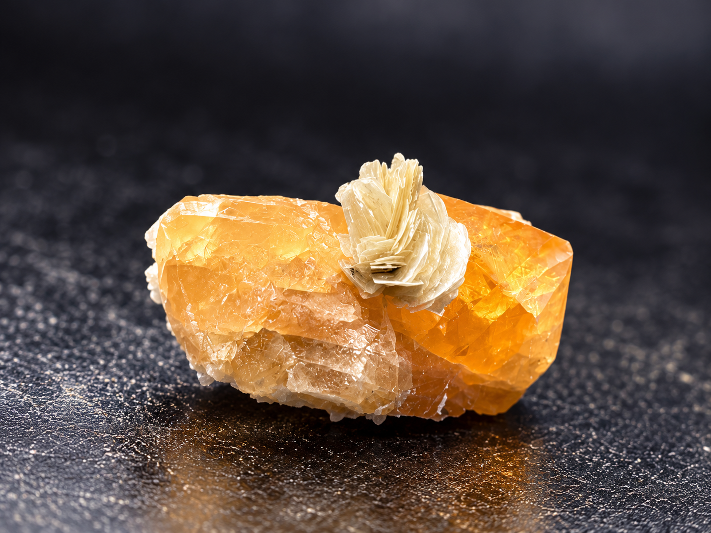 orange scheelite showing a prominent cream-colored muscovite rosette perched on the crystal surface, from Mt. Xuebaoding, China.