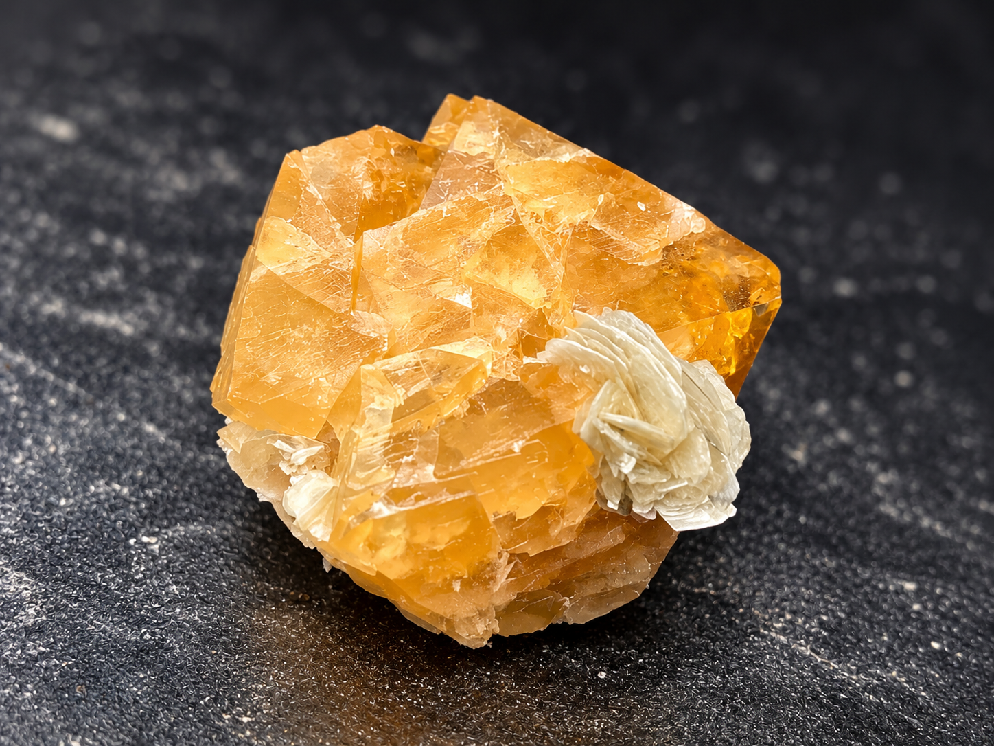 translucent honey-orange scheelite with sharply angled crystal faces and pale layered muscovite along the upper edge from Pingwu, China.
