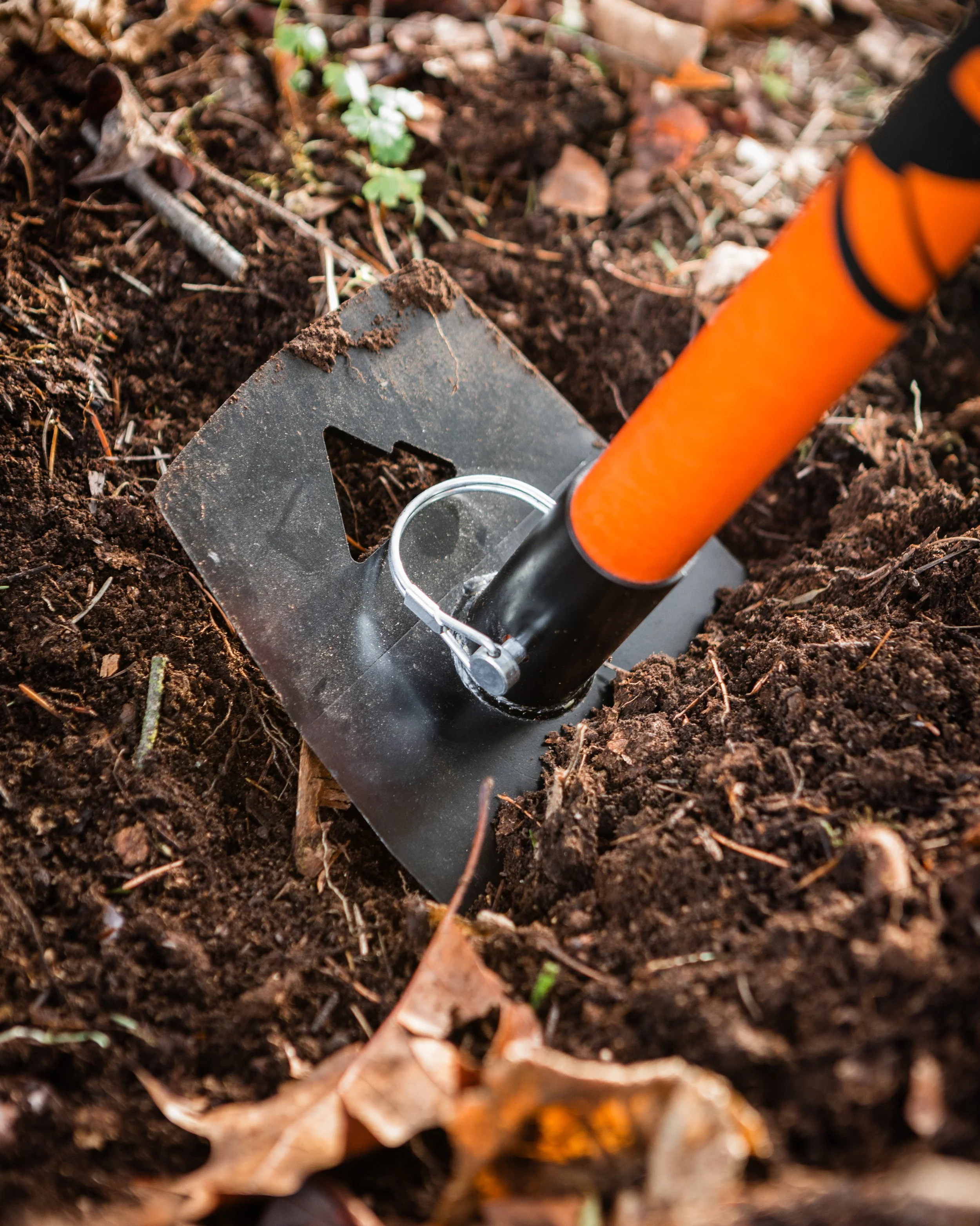 BST Blaze & Bucket Handle -- Dec. 29, 2025-22.jpg