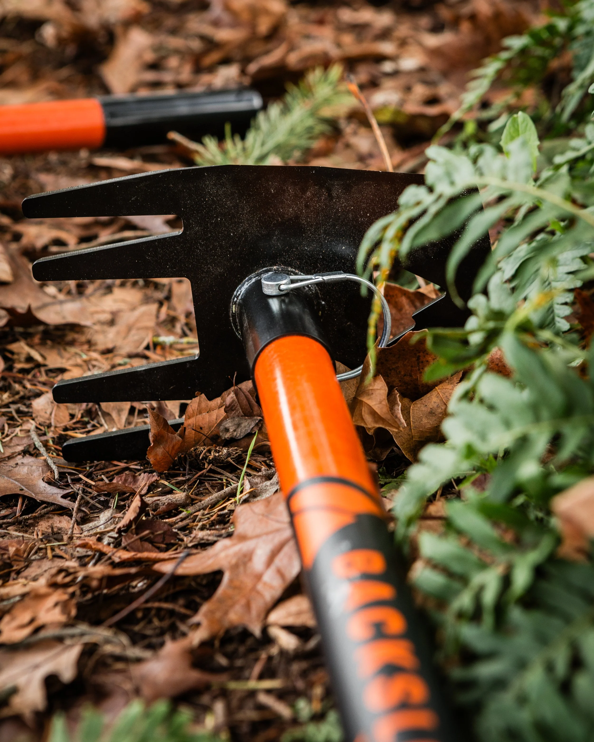 BST Blaze & Bucket Handle -- Dec. 29, 2025-12.jpg