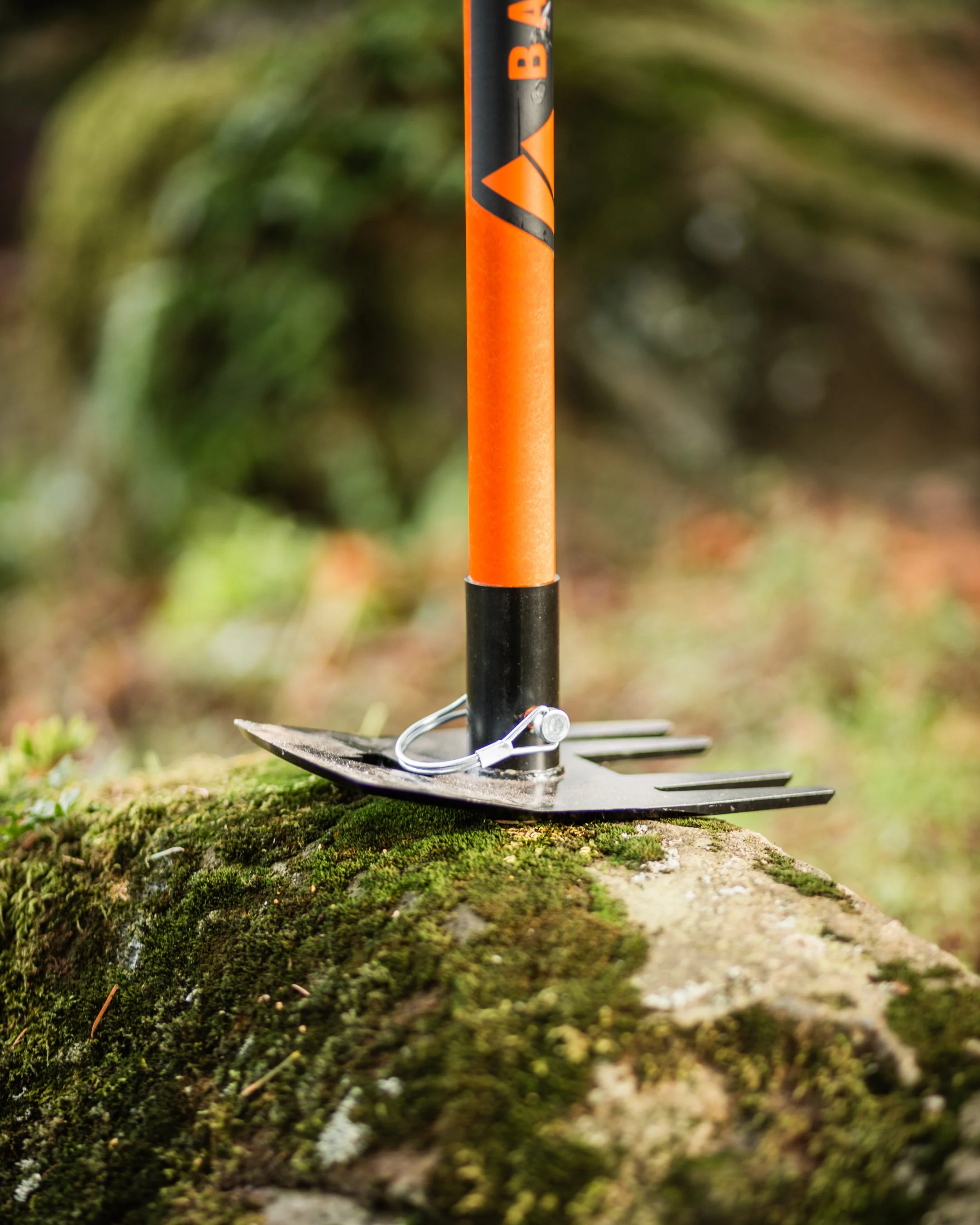 BST Blaze & Bucket Handle -- Dec. 29, 2025.jpg