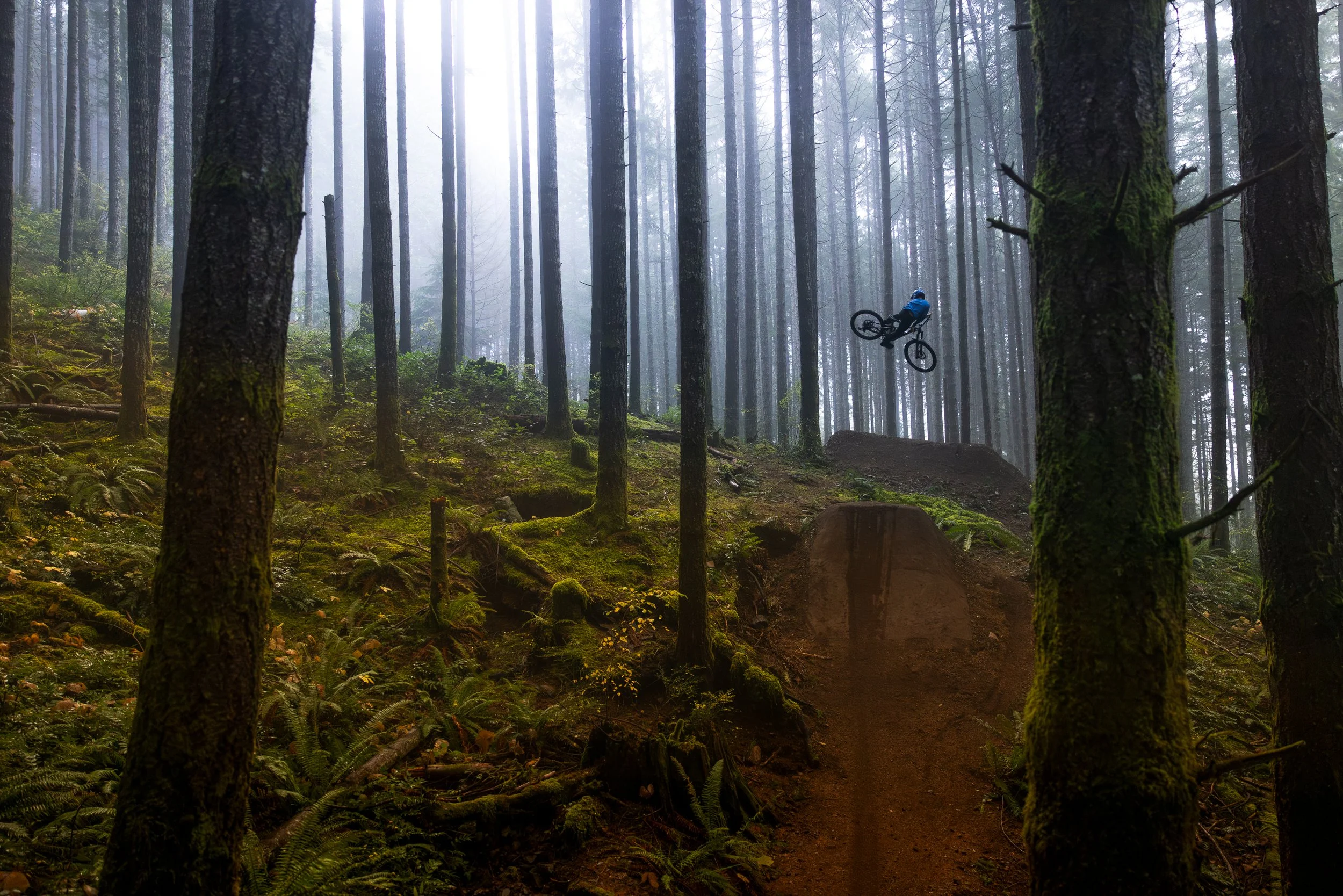 What’s Really Happening in the Trail World Right Now