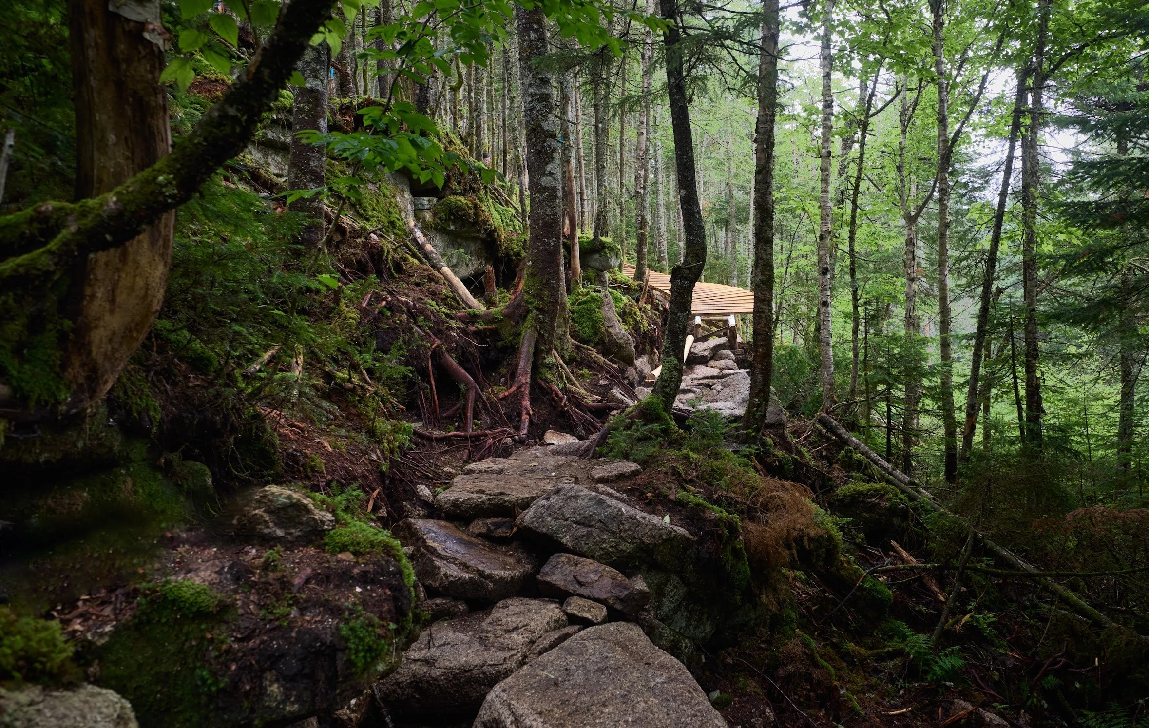 Trail Builder Magazine Releases Volume 4, Issue 1
