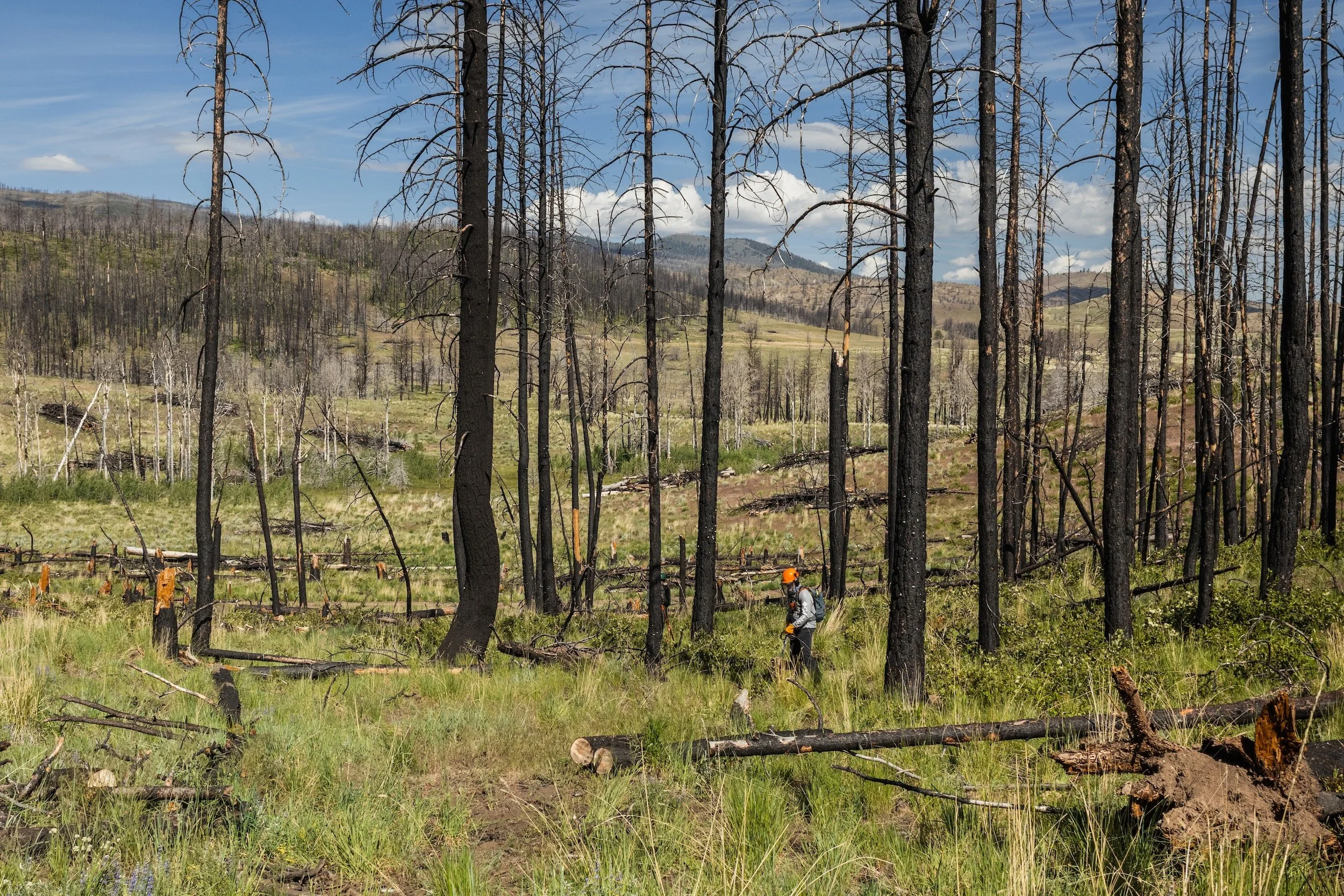 The Trust Gap: Why Rural Communities Don’t Always Welcome New Trails