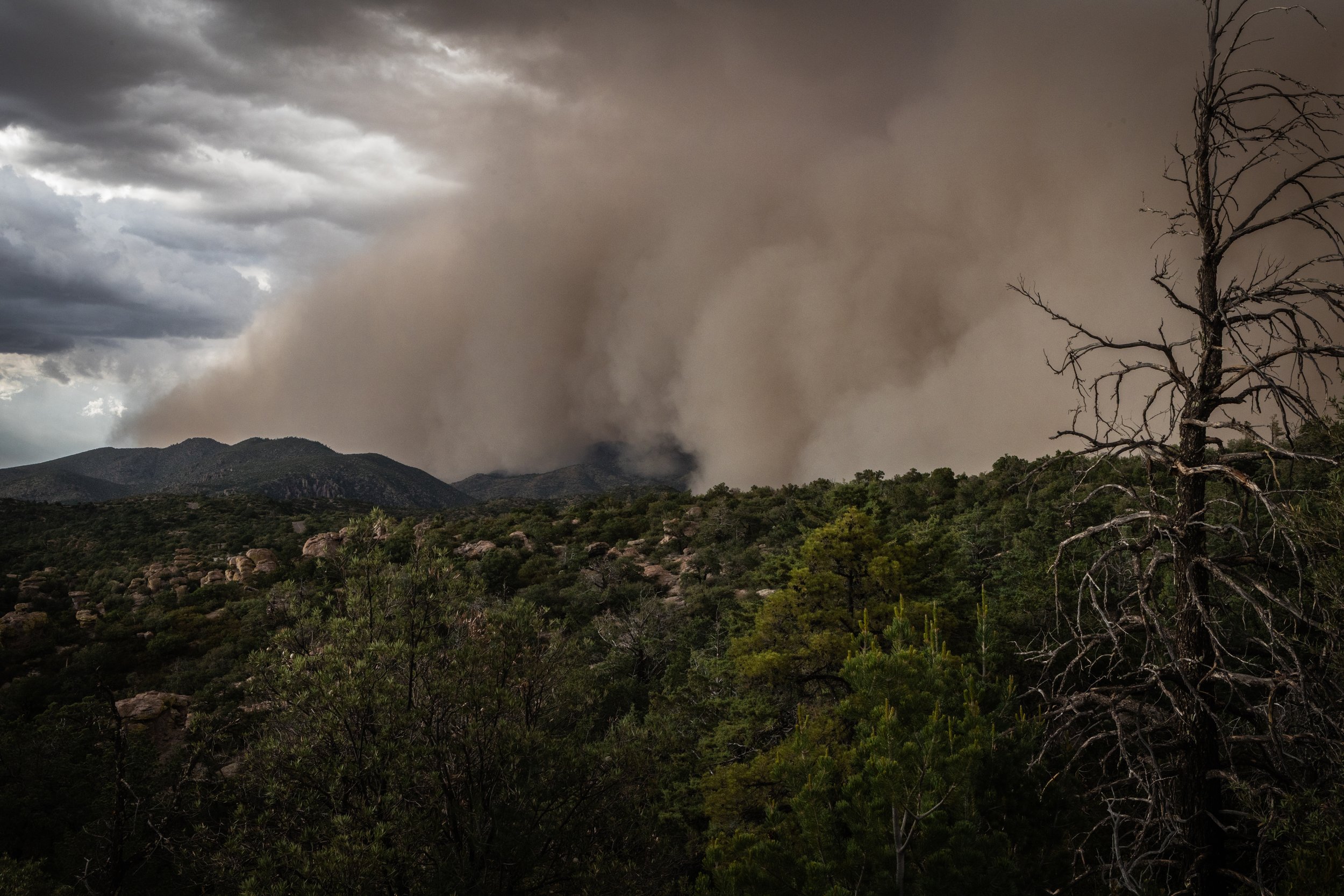 If the System Worked, Would Unsanctioned Trail Building Stop?