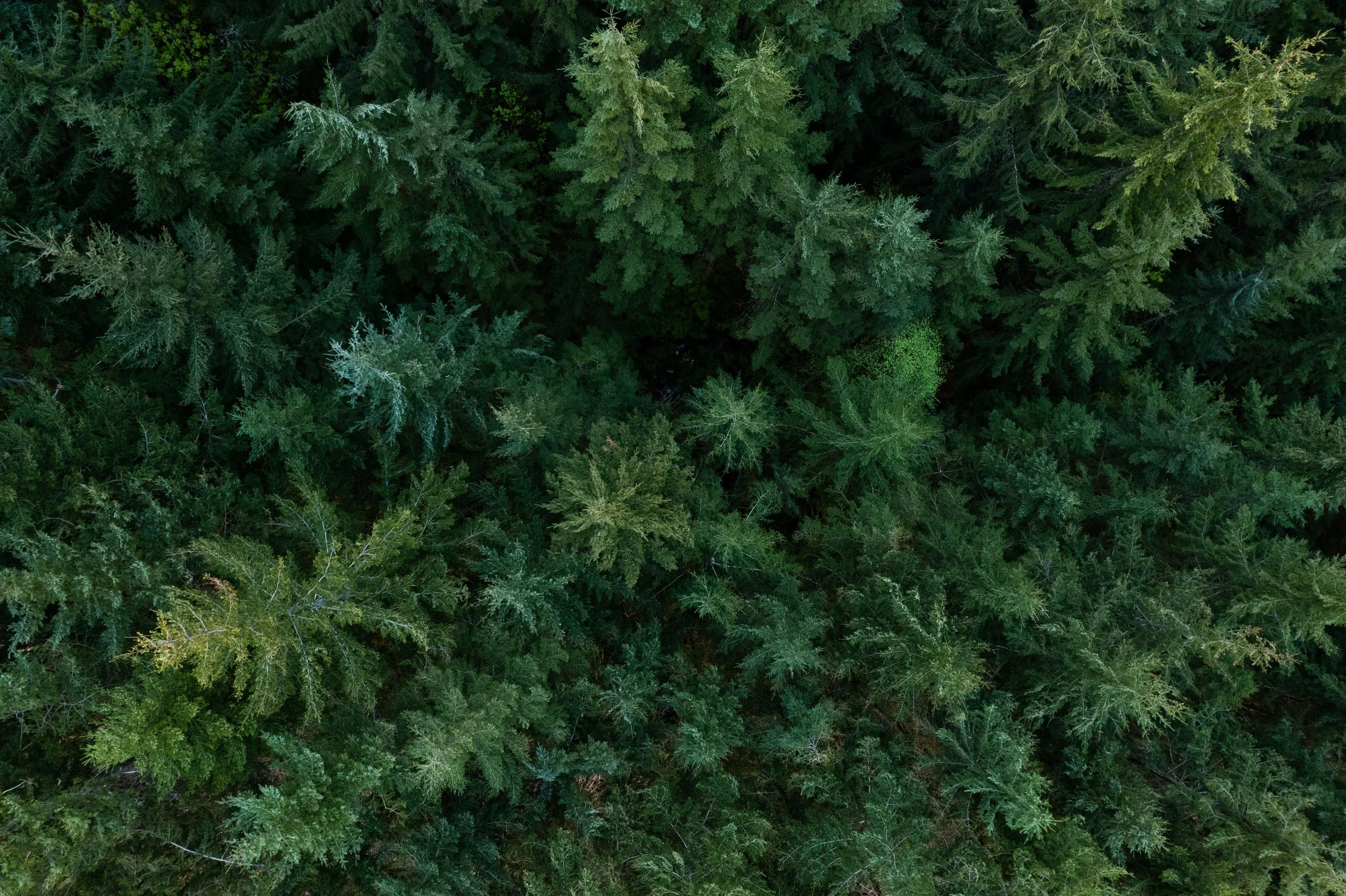 220507_Subsistence2_©CharlesStemen_DJI_0404.jpg