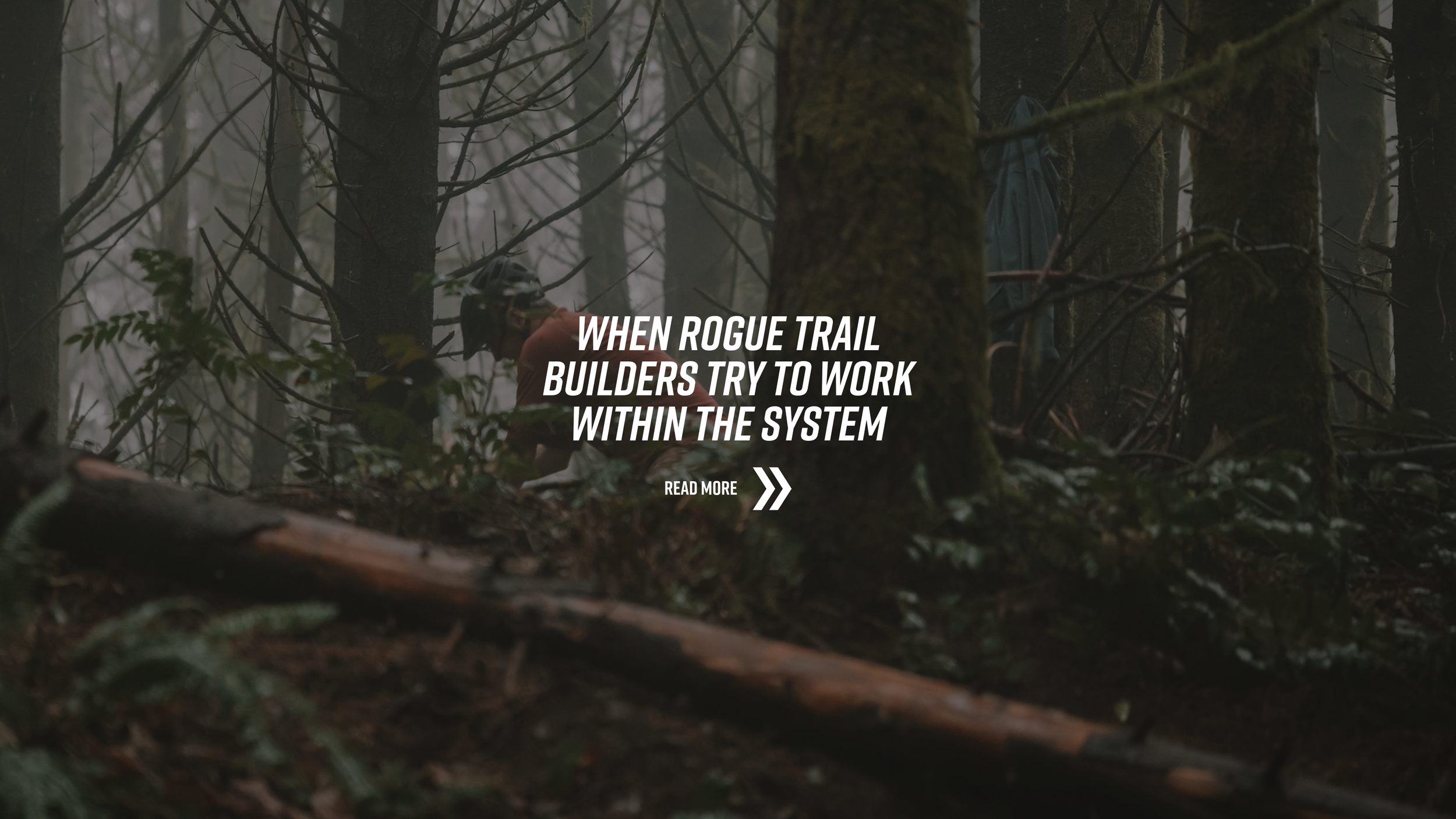 Website Home Page Image-1.png