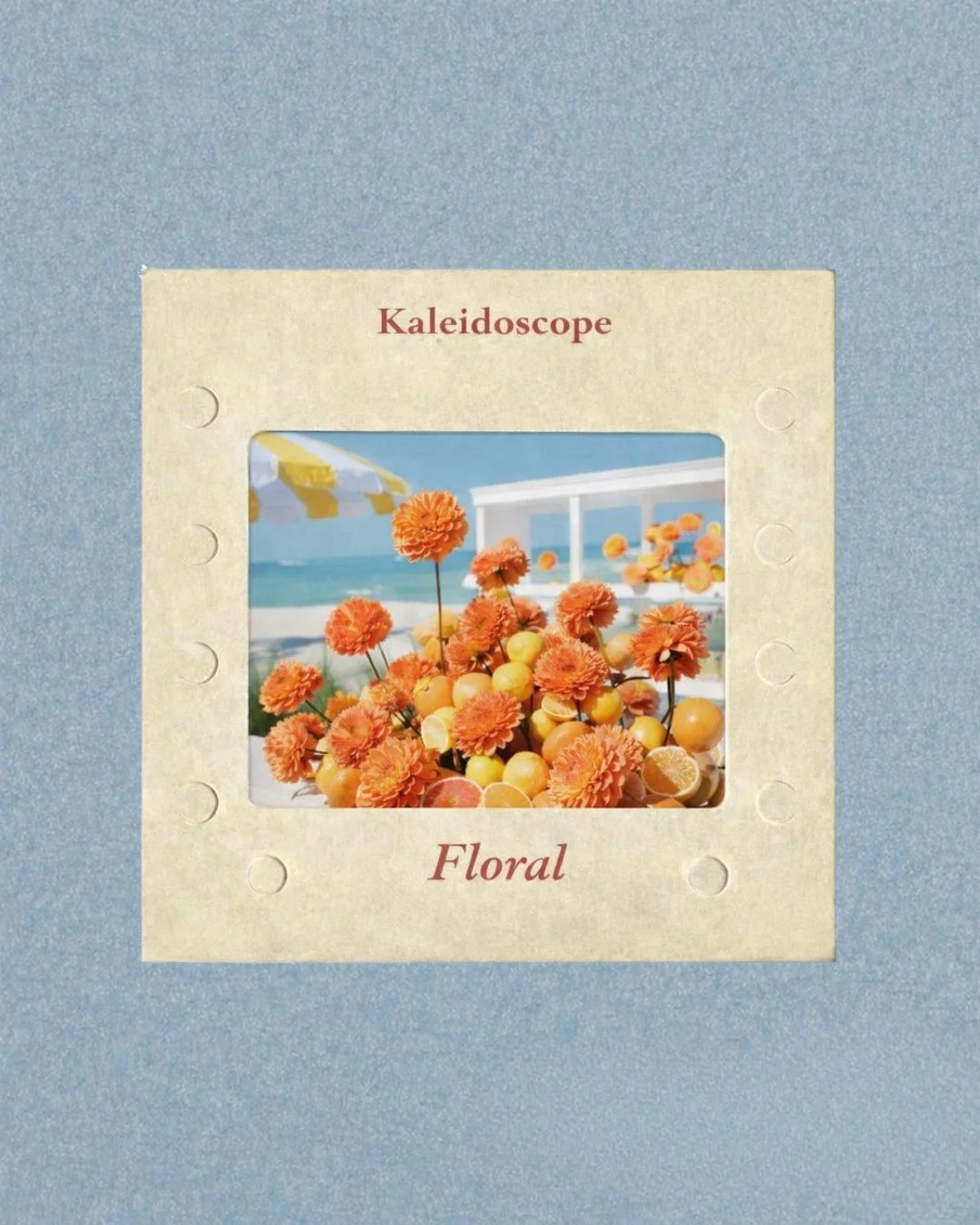 SP Stockists (2).jpg