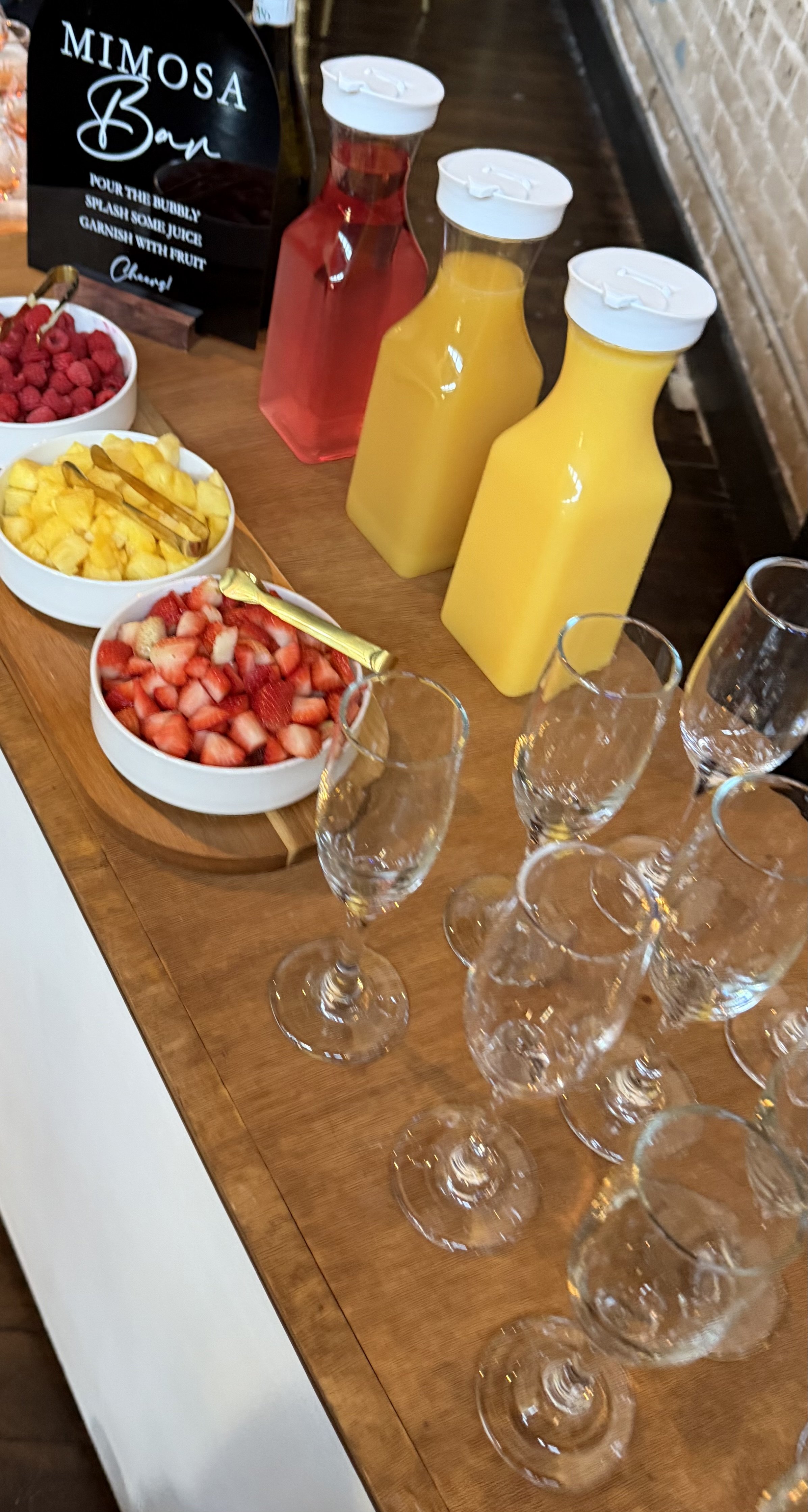 Renes Mimosa Close up.jpeg