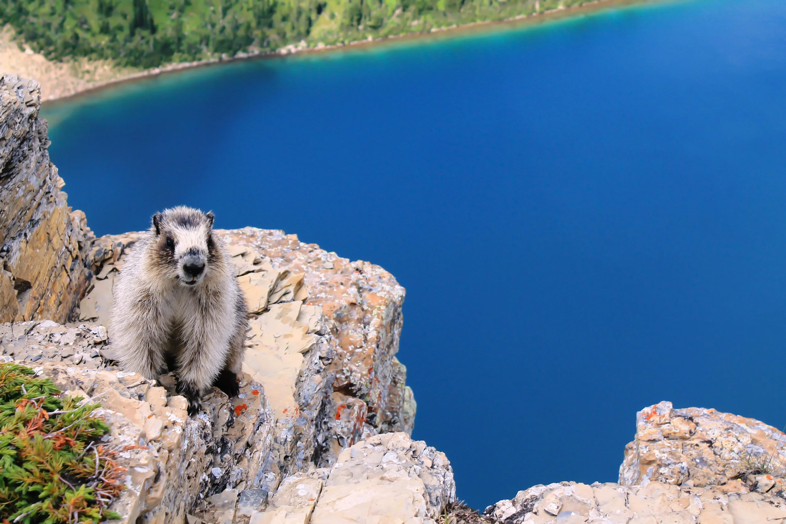 IMG_2166-3- Edited.jpg