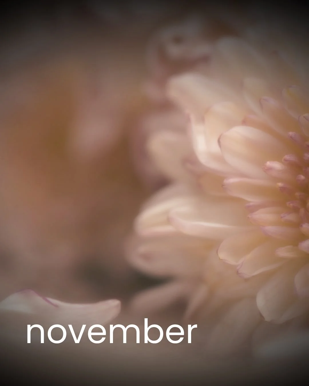 N&bull;O&bull;V&bull;E&bull;M&bull;B&bull;E&bull;R &ldquo;Movember&rdquo;

That magical time of year when the men shave their moustaches 🥸 only to grow them out again. 

Grow a Moustache. Raise Funds. Save Lives. 
To join the movement, visit https:/