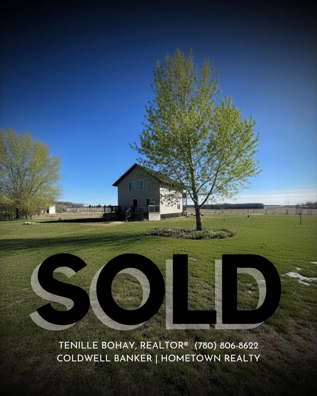 ✨SOLD✨

Officially, official! 

Yes that&rsquo;s right, folks - the time has come for the chickens to change hands 🐓 

Our buyers are very excited to be new acreage dwellers / chicken parents looking forward to their quiet life in the trees 🌲 

And