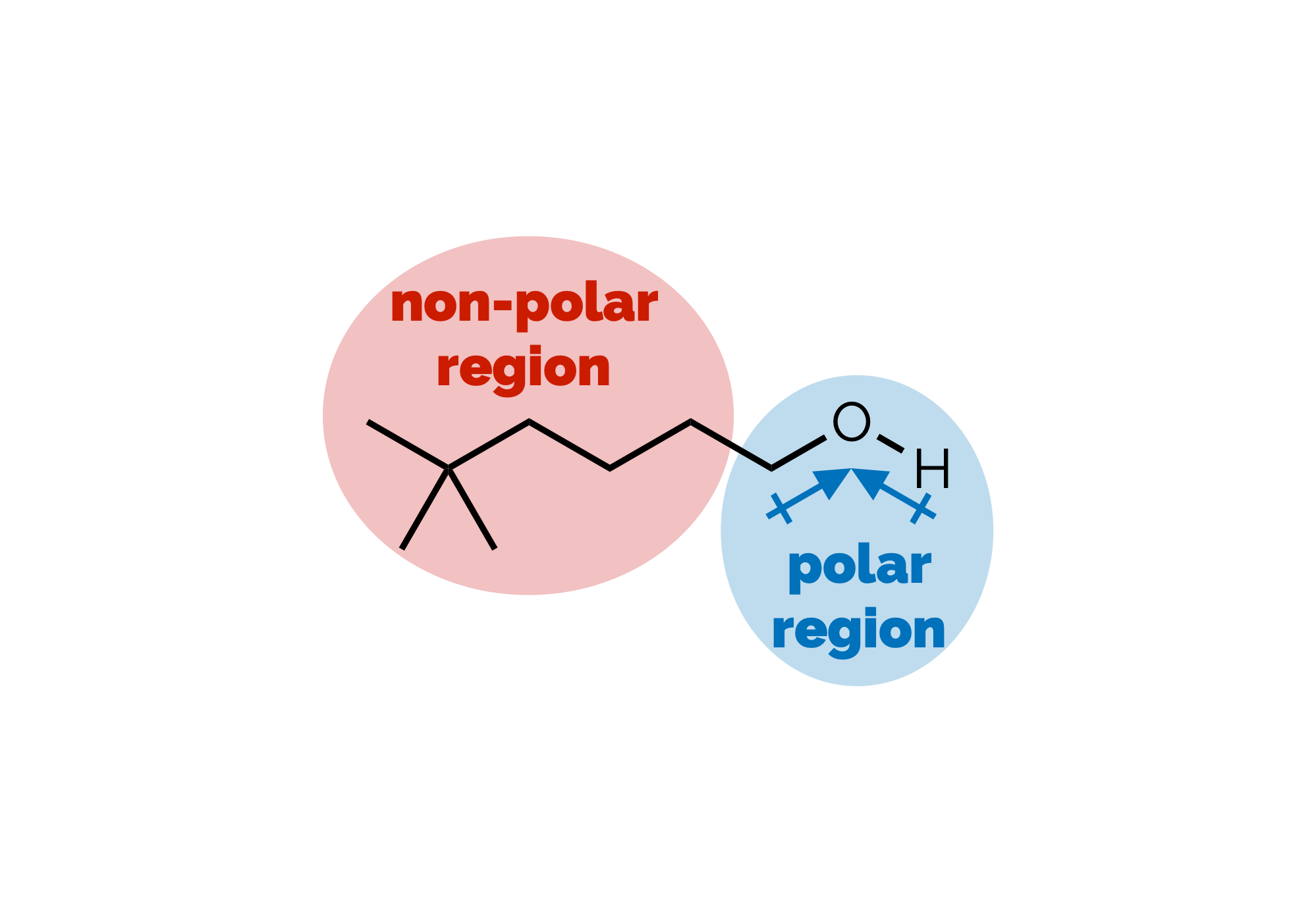 Polarity &amp; Non-Covalent Interactions Part 1