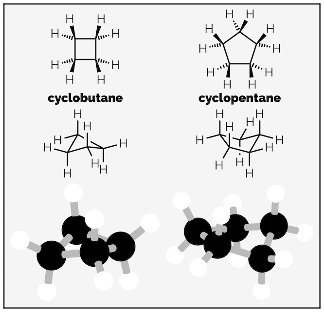 Cyclobutane and cyclopentane