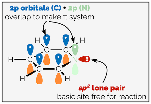 Pyridine valence bond model
