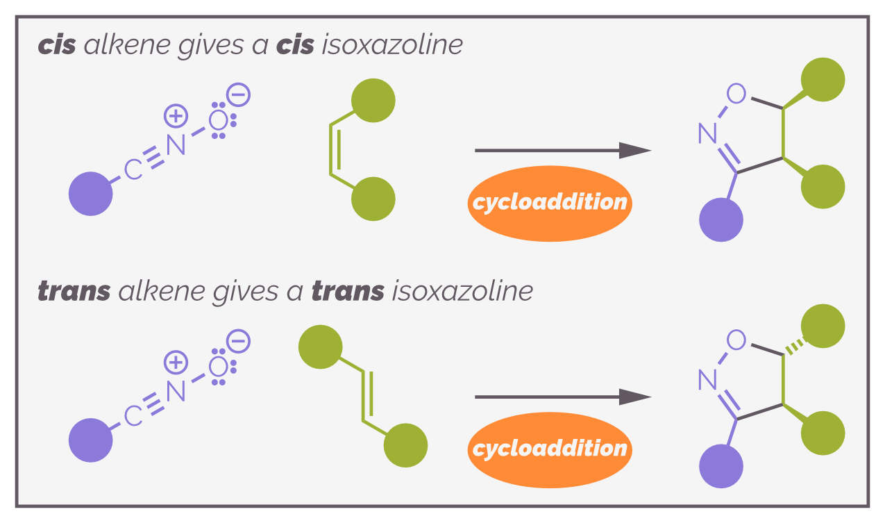 Cycloadditions are concerted reactions and stereospecific with regards to the alkene or dipolarophile. This is shown by a *cis* alkene giving the *cis* isoxazoline and the *trans* alkene giving the *trans* product.