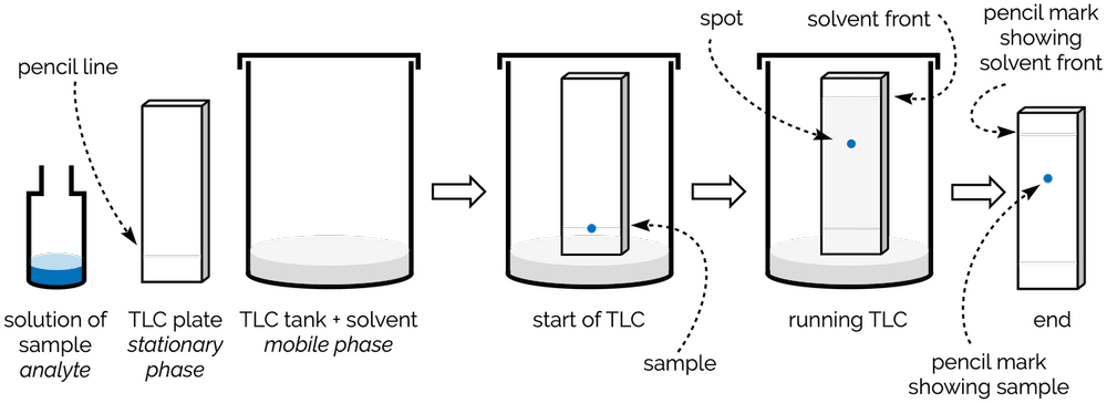 Thin Layer Chromatography (TLC) — Making Molecules