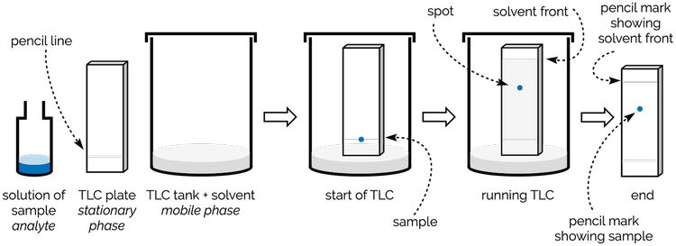 Tlc Matrix Thin Layer Chromatography (TLC) — Making Molecules