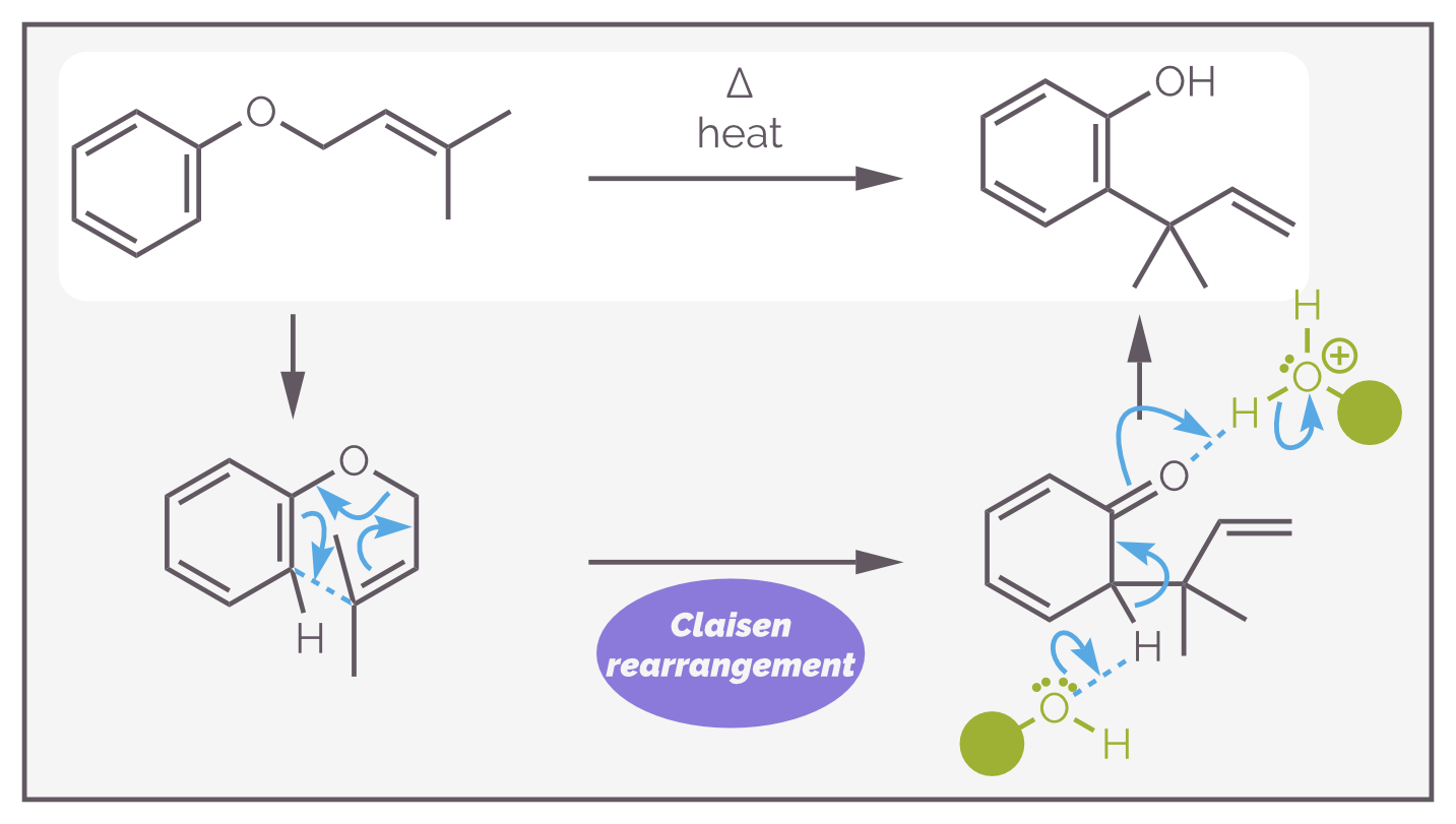 An example of the Claisen rearrangement. The reaction proceeds with breaking of the aromaticity, demonstrating how powerful these rearrangements can be. The ketone rapidly undergoes tautomerization to reform the aromatic ring.