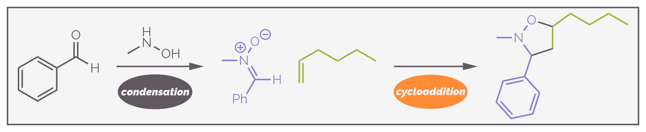 Simple example of a nitrone cycloaddition showing the condensation of benzaldehyde with methylhydroxylamine to give the 1,3-dipole. Reaction with an alkene leads to an isoxazoline in 91% yield.