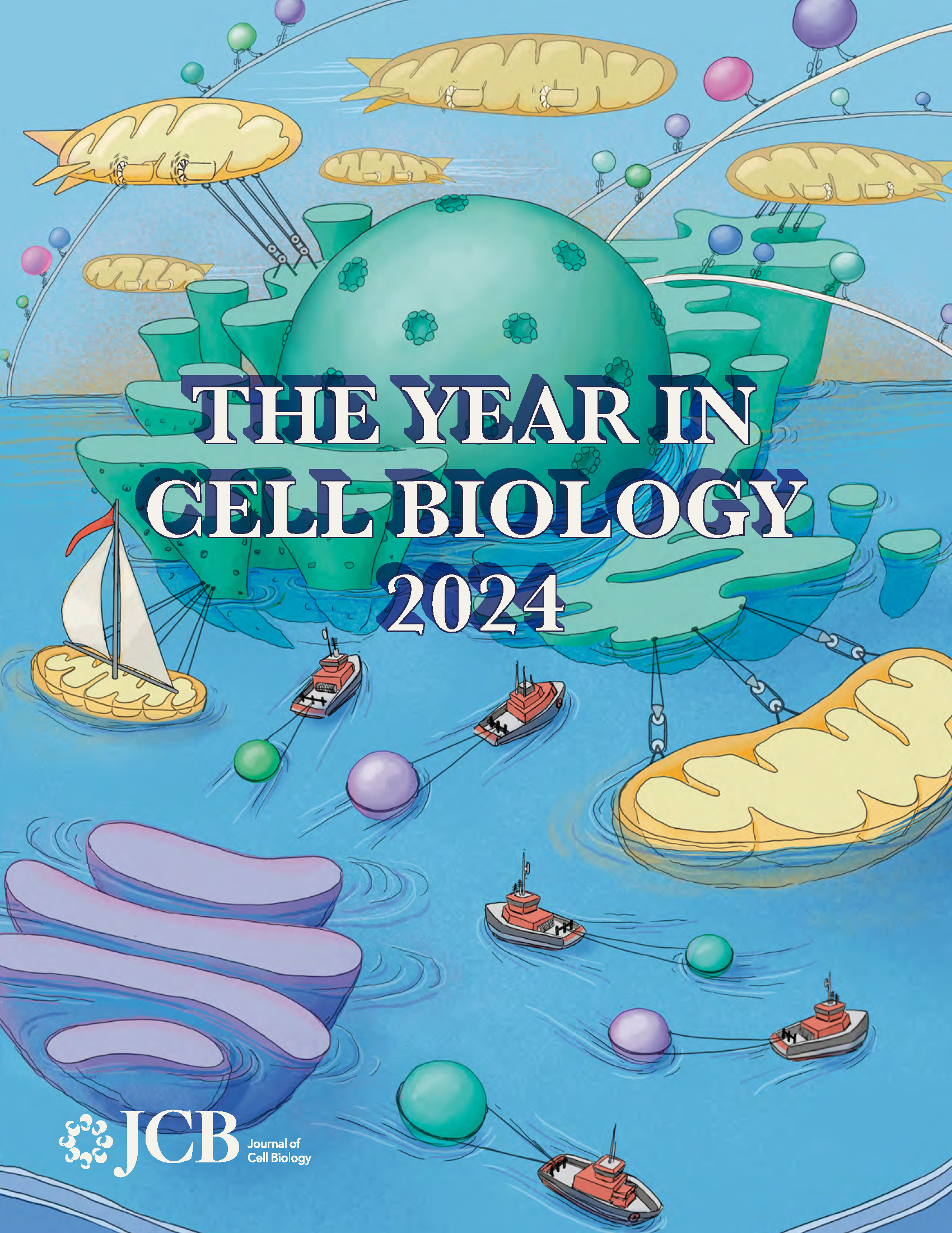 Year In Cell Biology 2024 cover image for the Journal of Cell Biology annual collection. Rockefeller University Press. Created with Procreate and Adobe Photoshop.