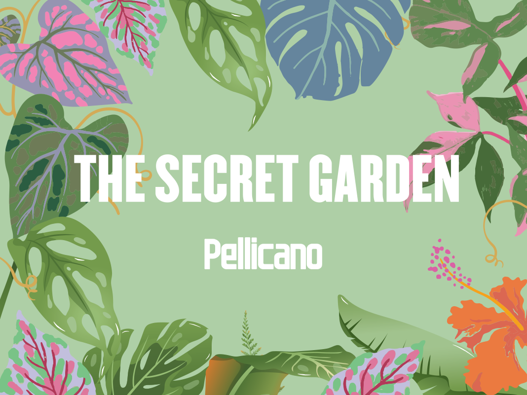 The Secret Garden X Pellicano branding 