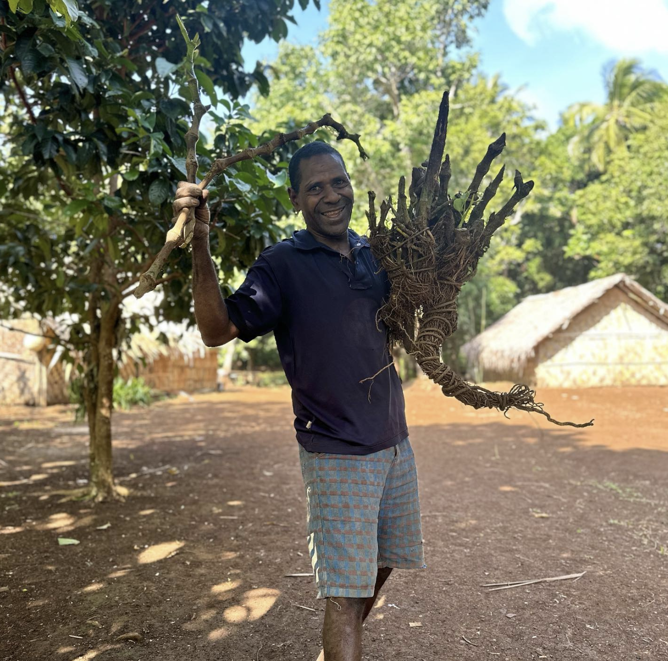 Kwakea promo image 1.png