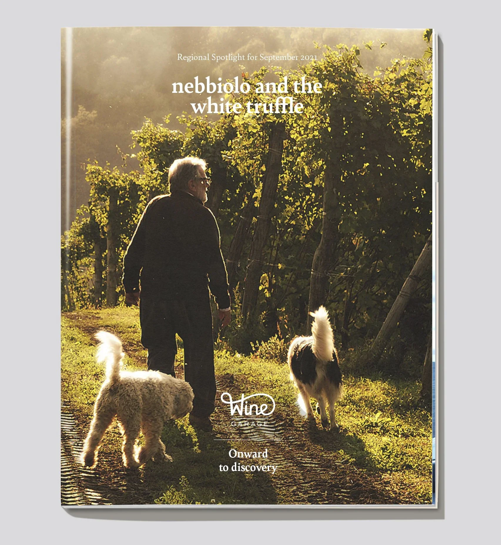 NEBBIOLO-C.jpg.webp