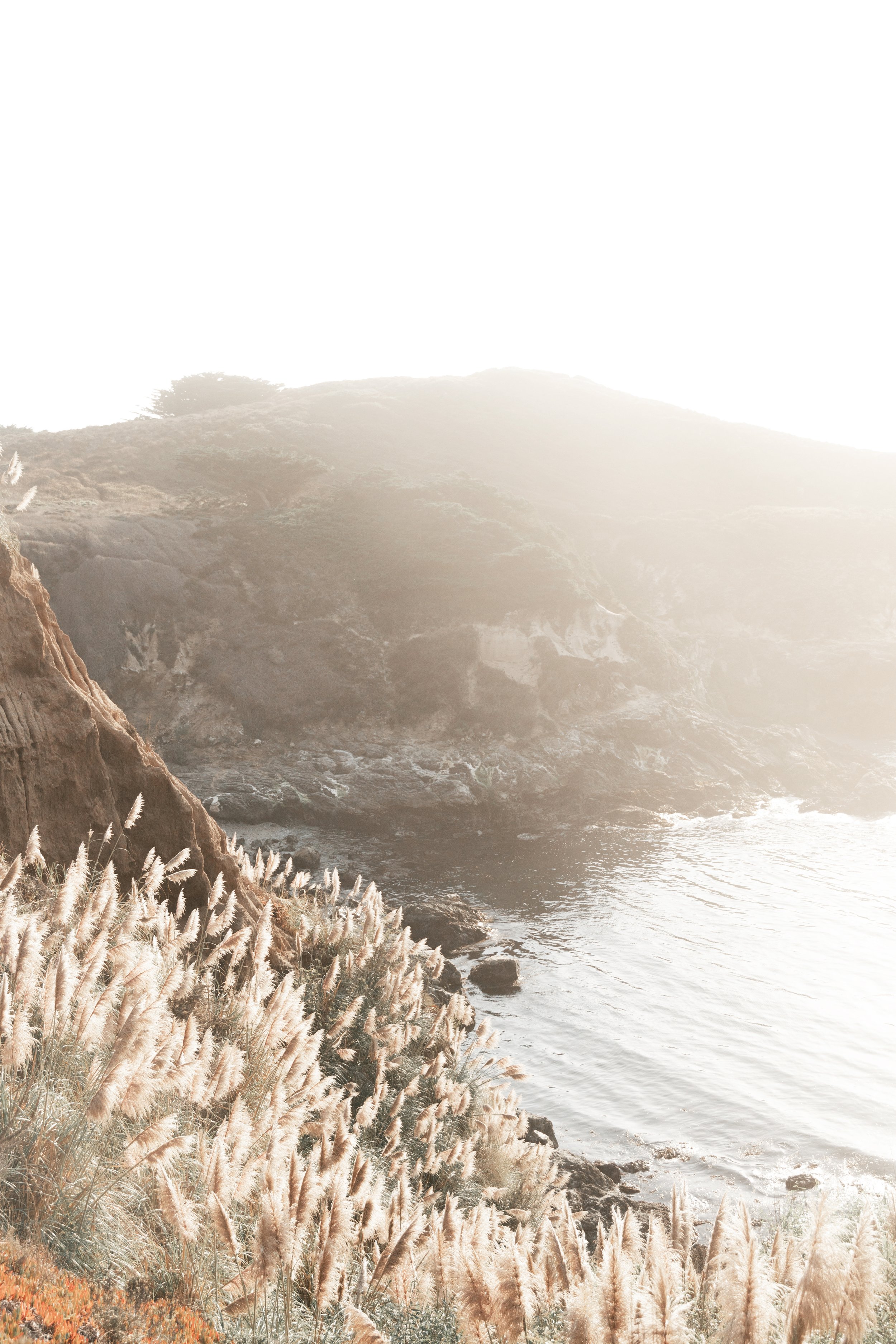 Big Sur Hillside.jpg