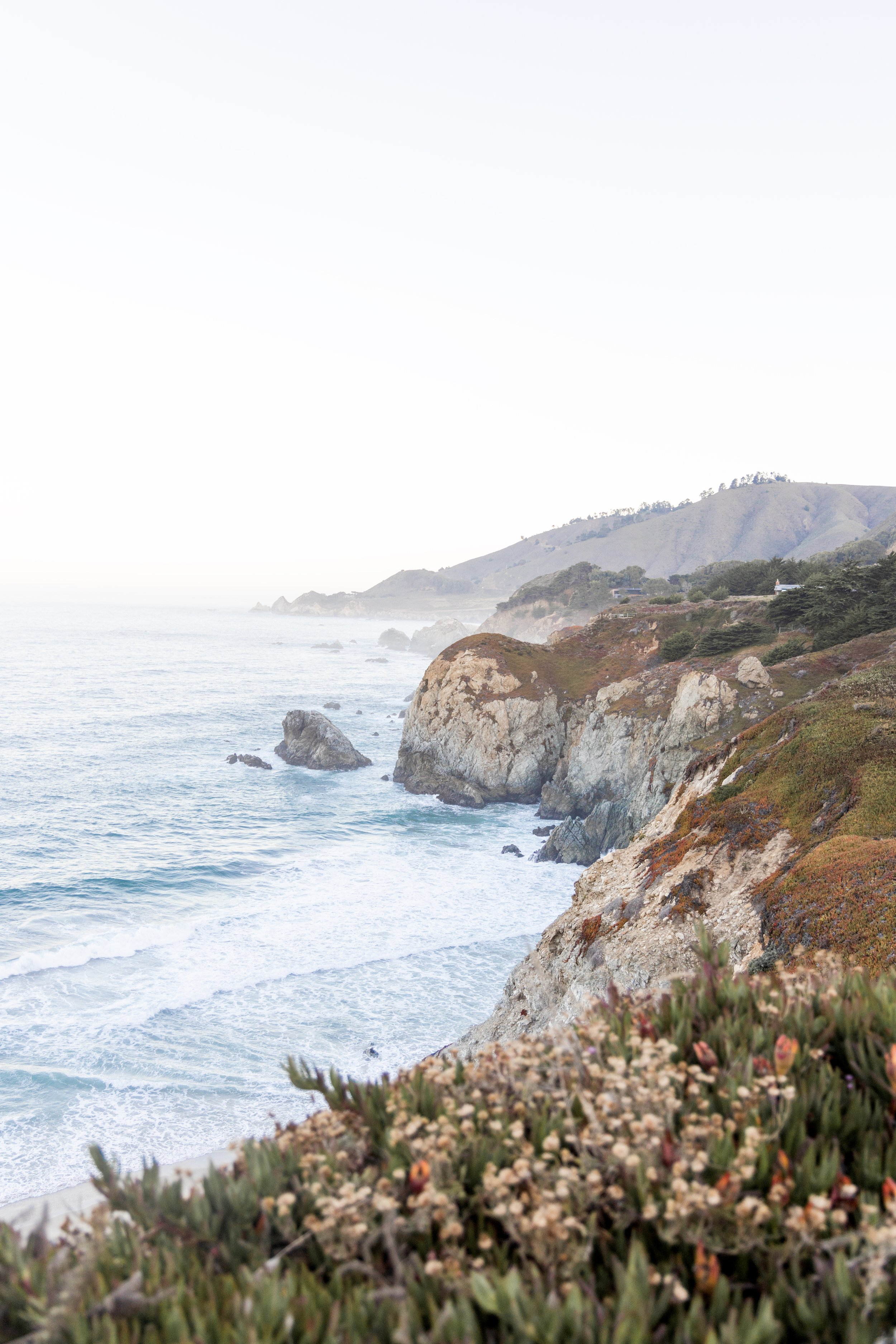Big Sur Vista.jpg