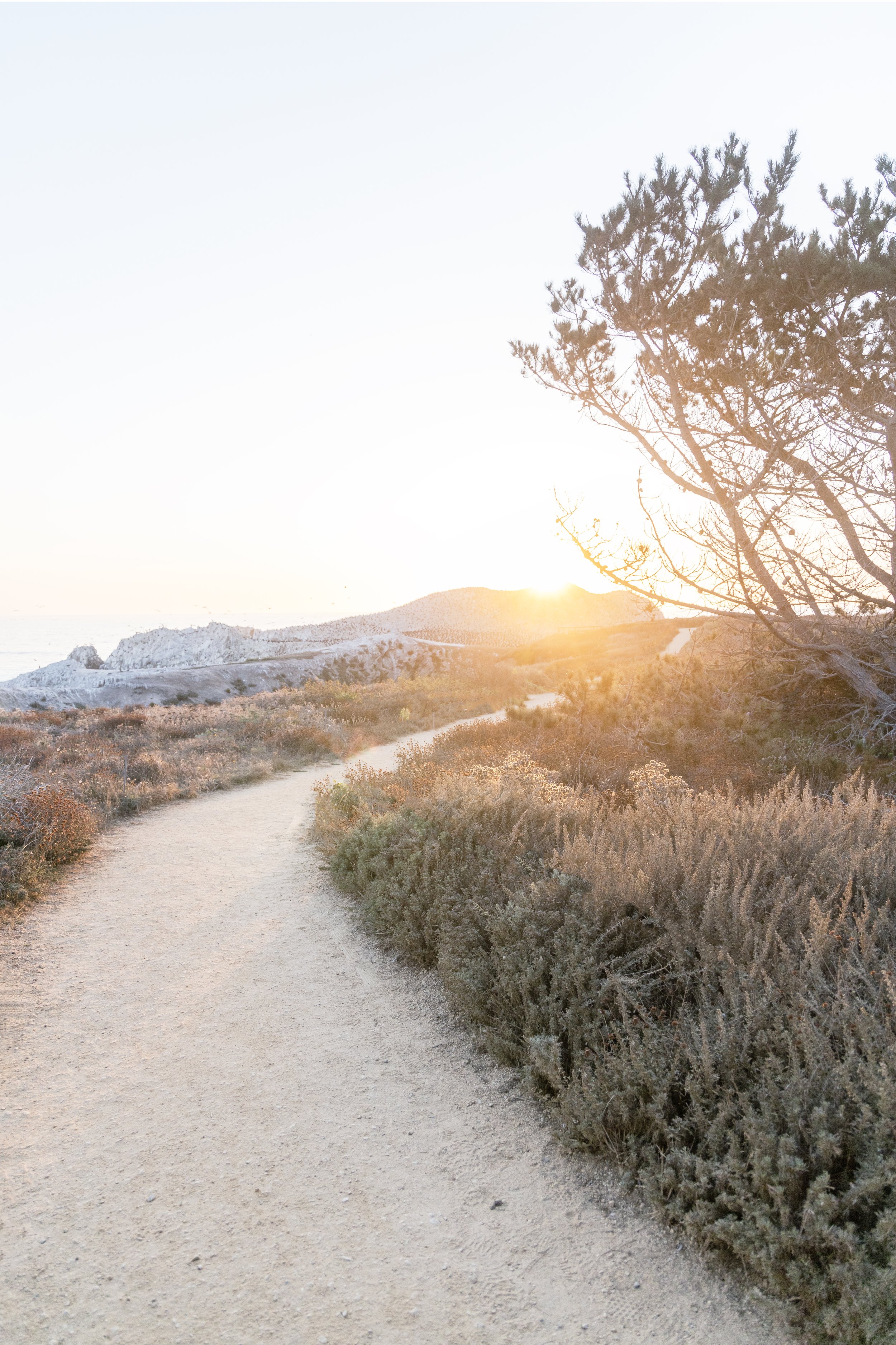 Carmel Pathway copy.jpg
