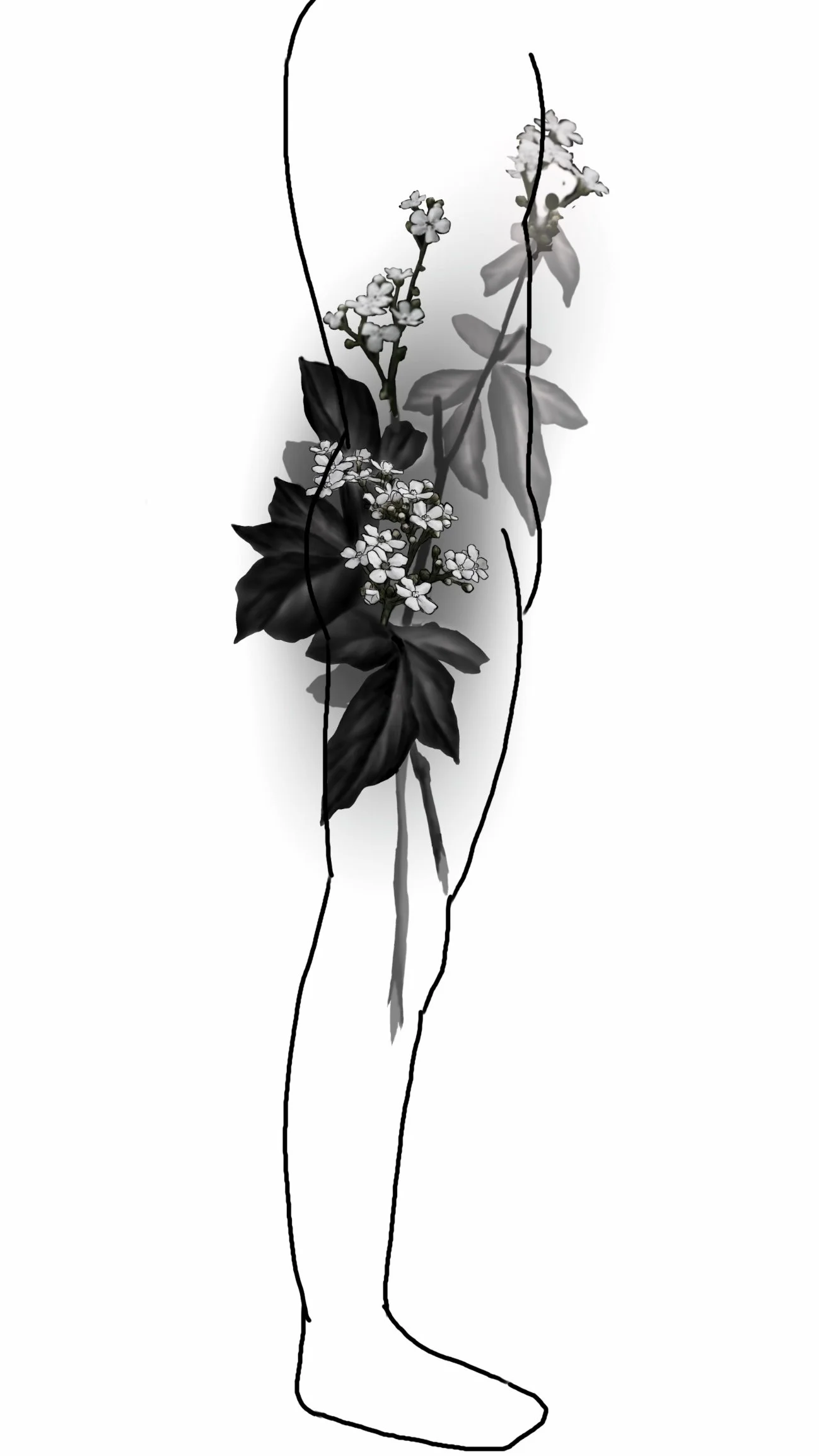 Wildflower Large Scale Concept