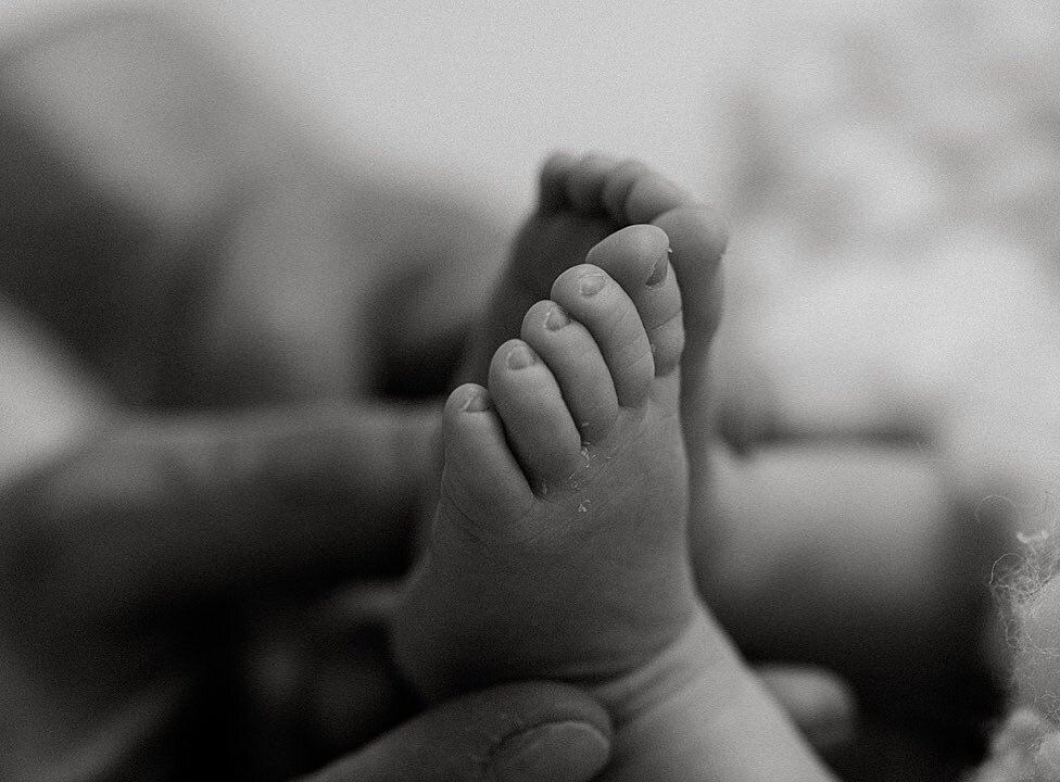 So precious details. Whispering B&amp;W

To book your photo-session you can:
1. send DM
2. call or write : +491721805402

Much love,
Anna Stender
@newbornphotoboutique