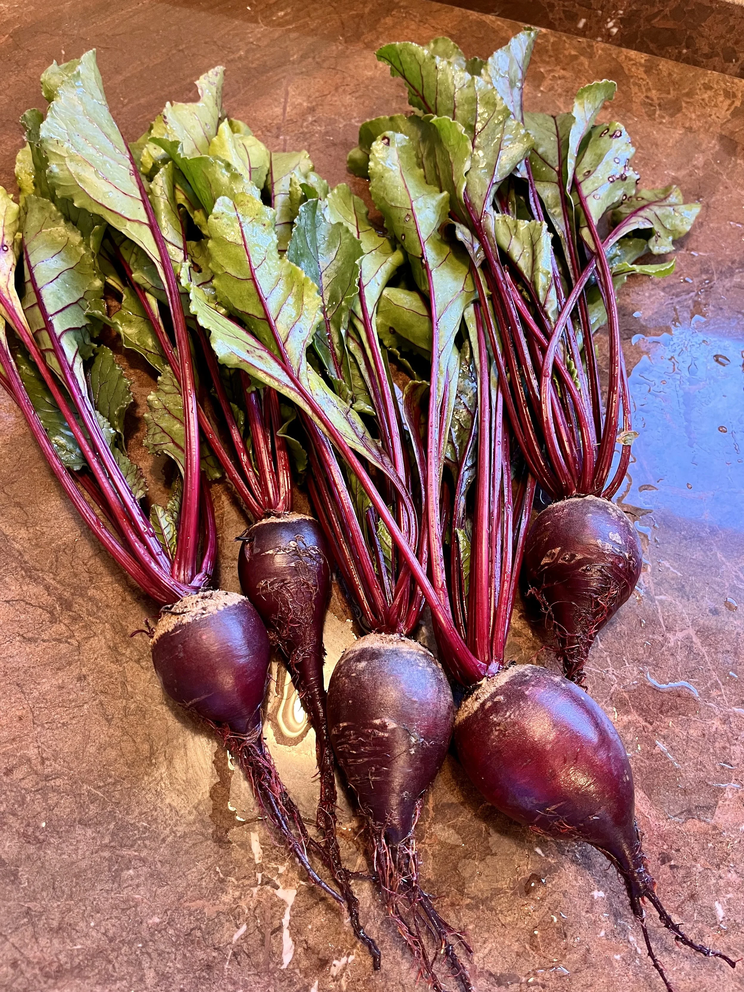 In My Garden:  Root Vegetables