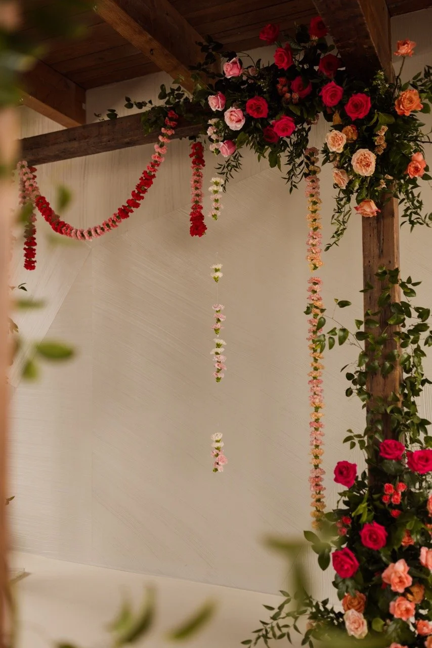 033A9920 copy Large.jpeg