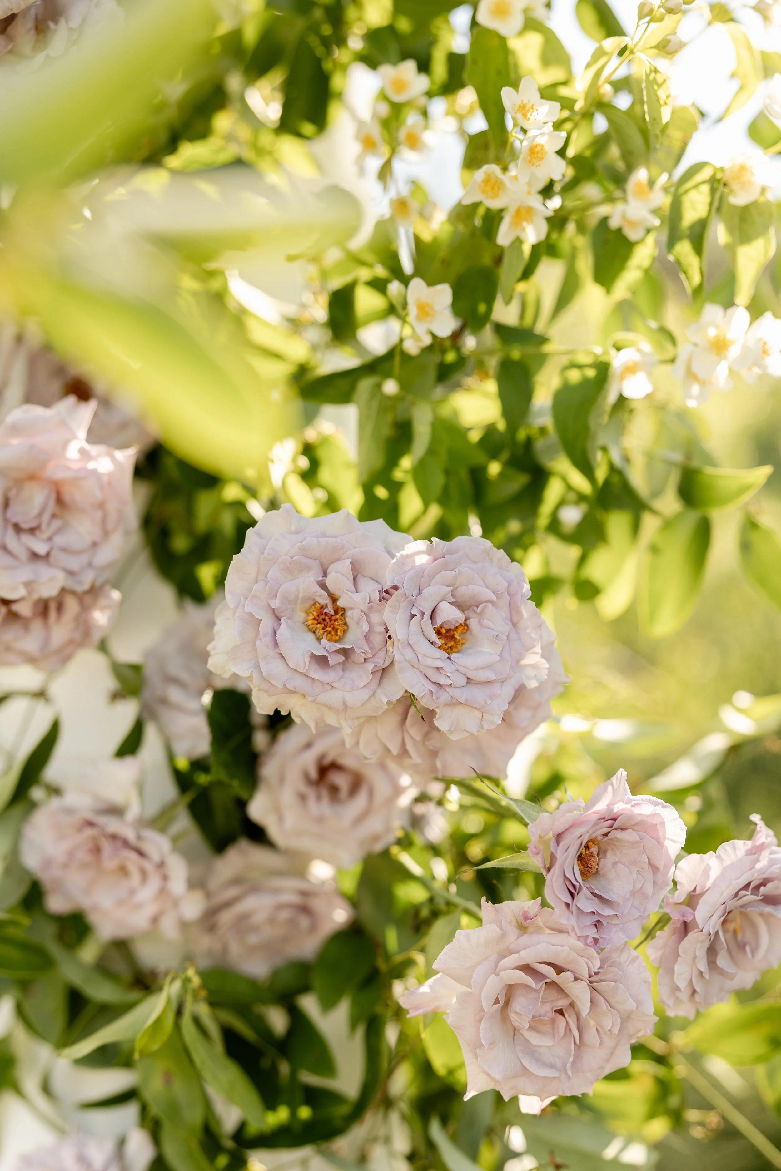 JillianPhotography-402.jpg