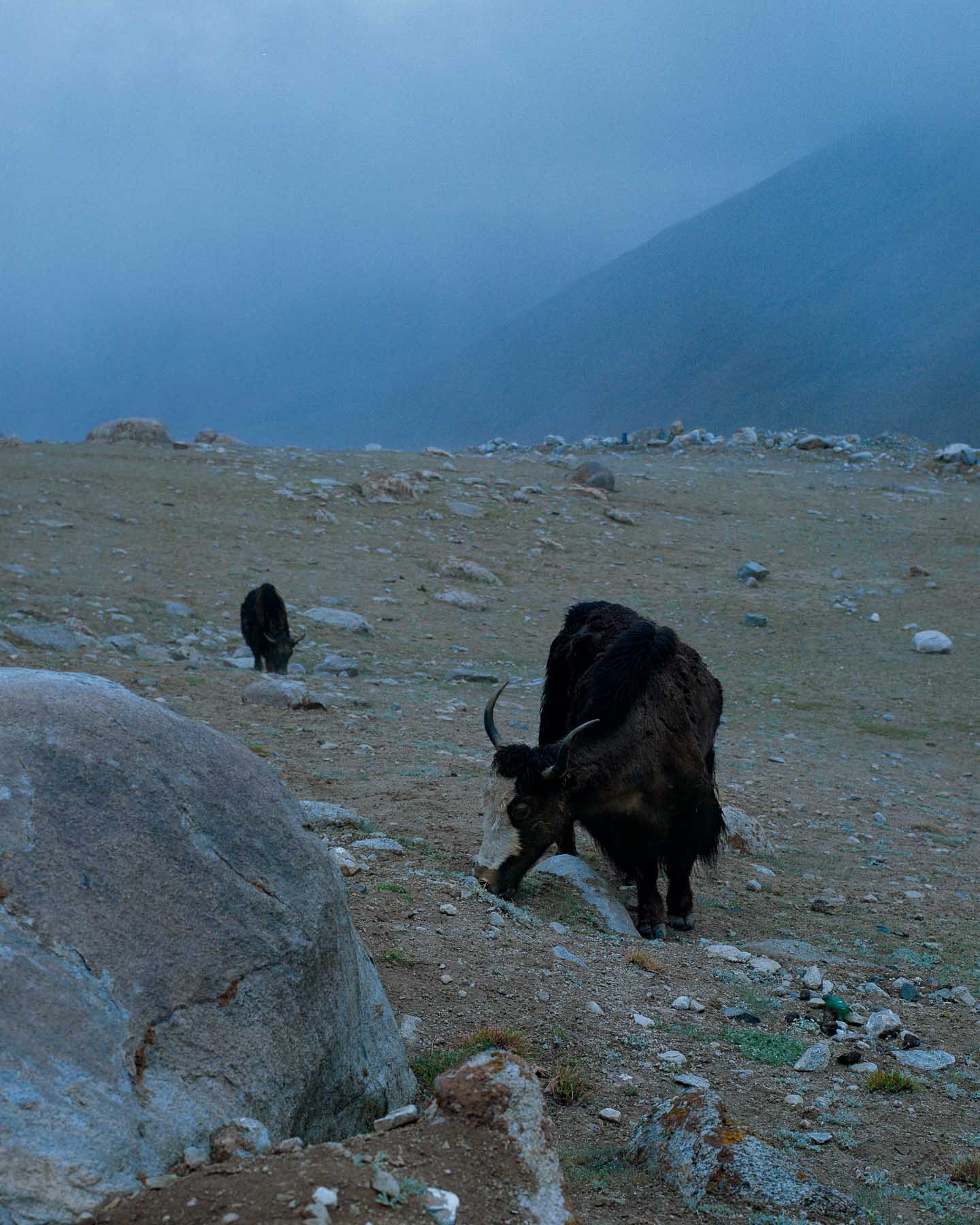 SQSP-LADAKH6X7-23.jpg