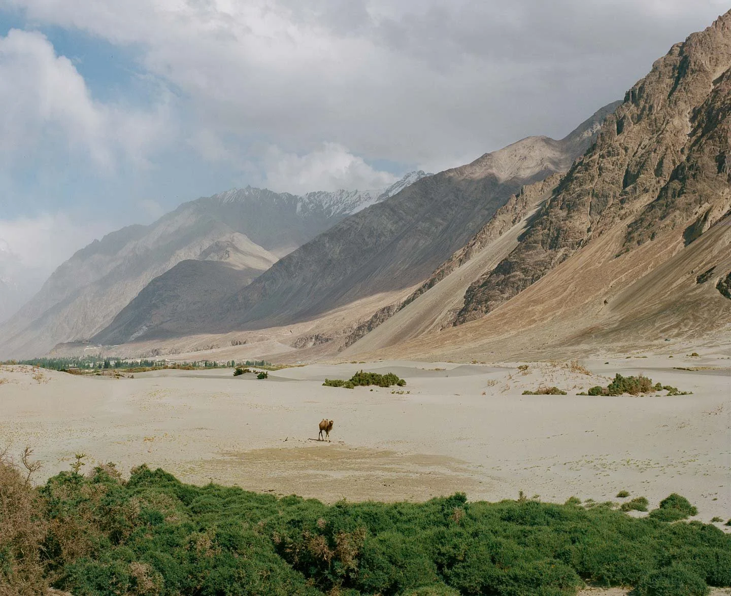 SQSP-LADAKH6X7-16.jpg