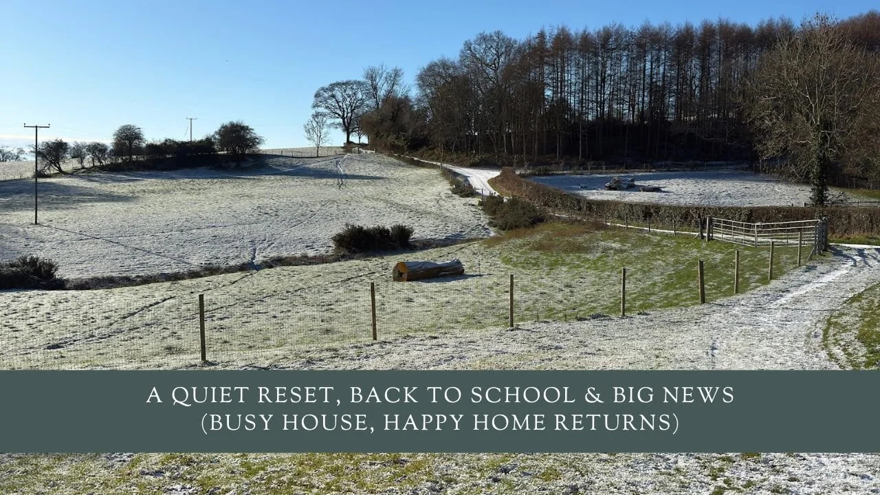 A Quiet Reset, Back to School &amp; Big News (Busy House, Happy Home Returns)