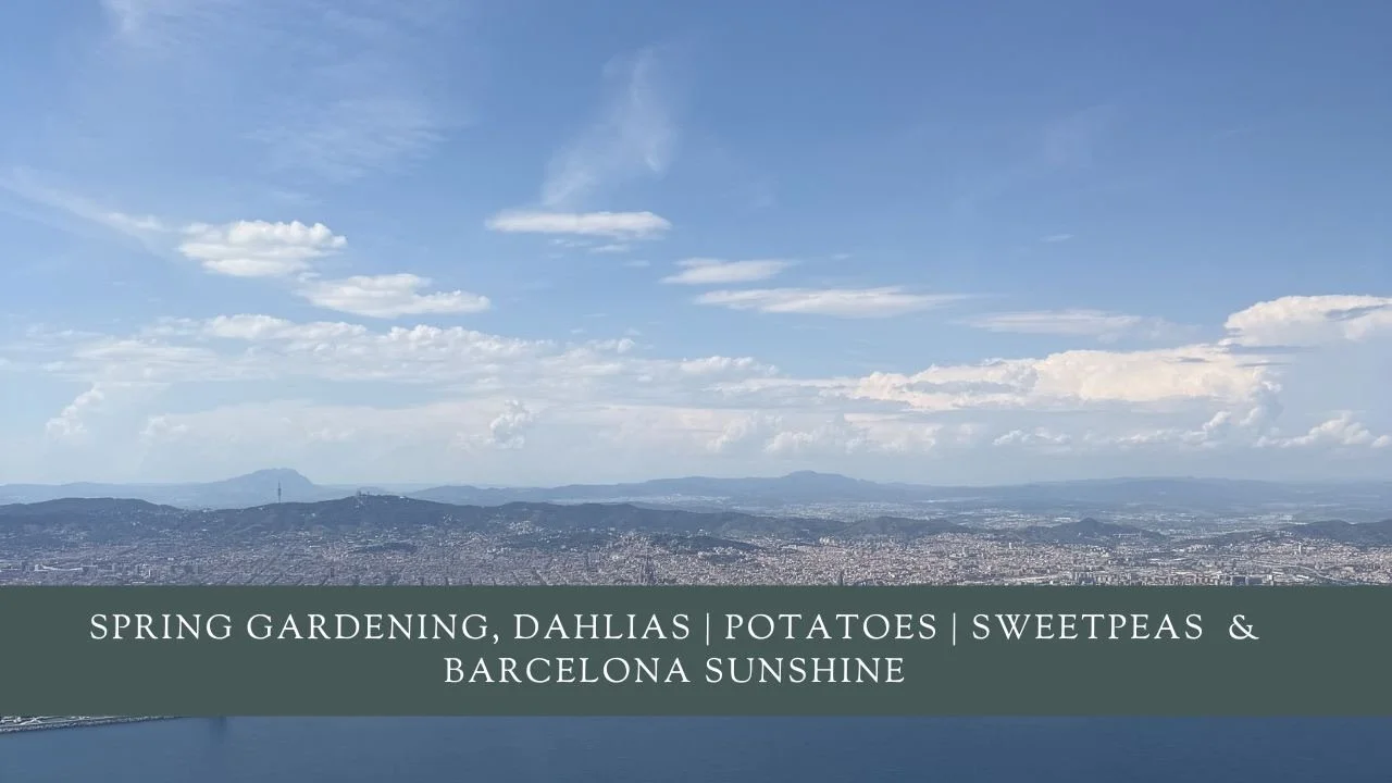 Spring Gardening, Dahlias | Potatoes | Sweetpeas &amp; Barcelona Sunshine